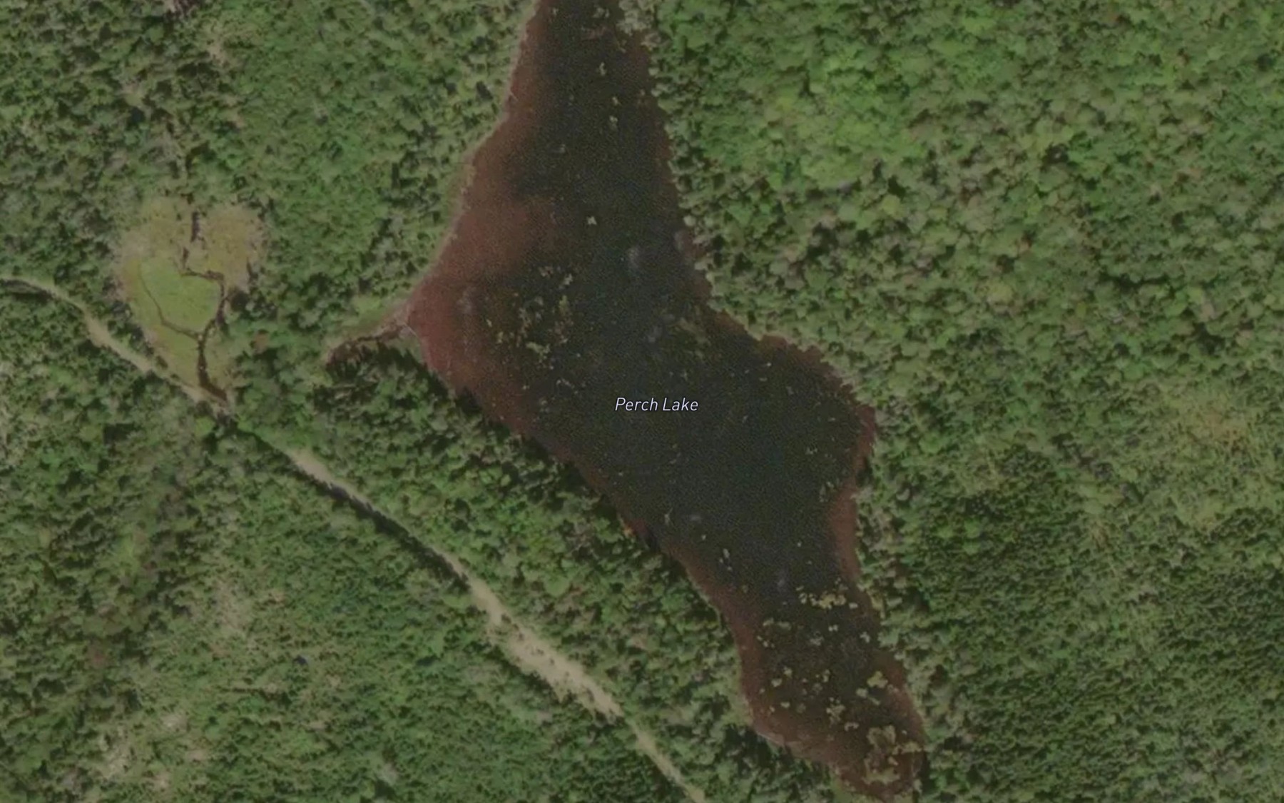 Satellite map of the Perch Lake