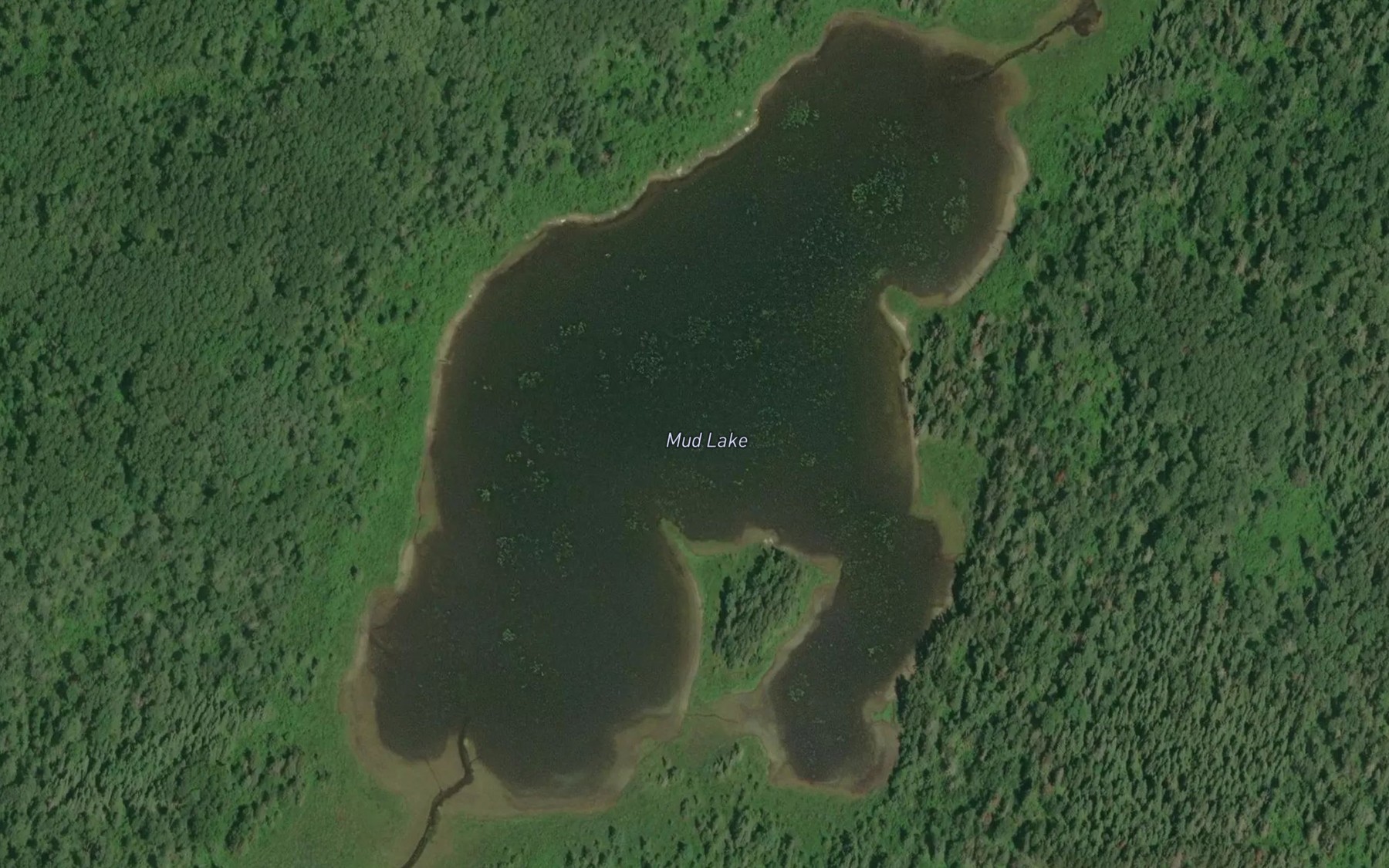 Satellite map of the Mud Lake