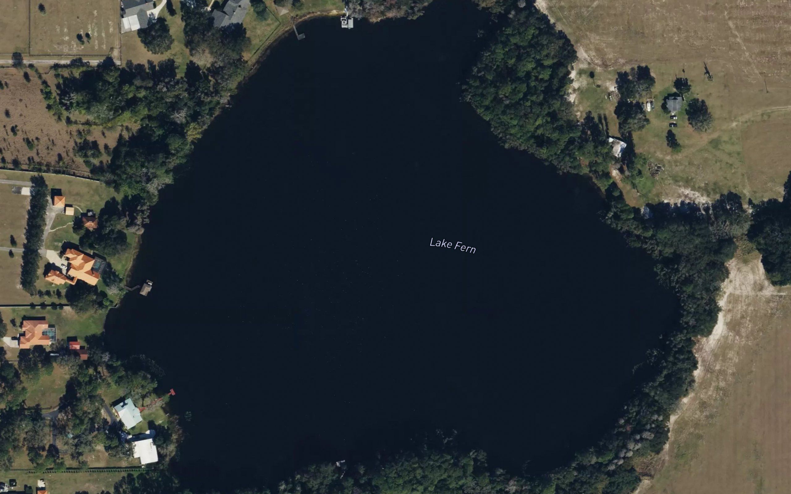 Lake Fern