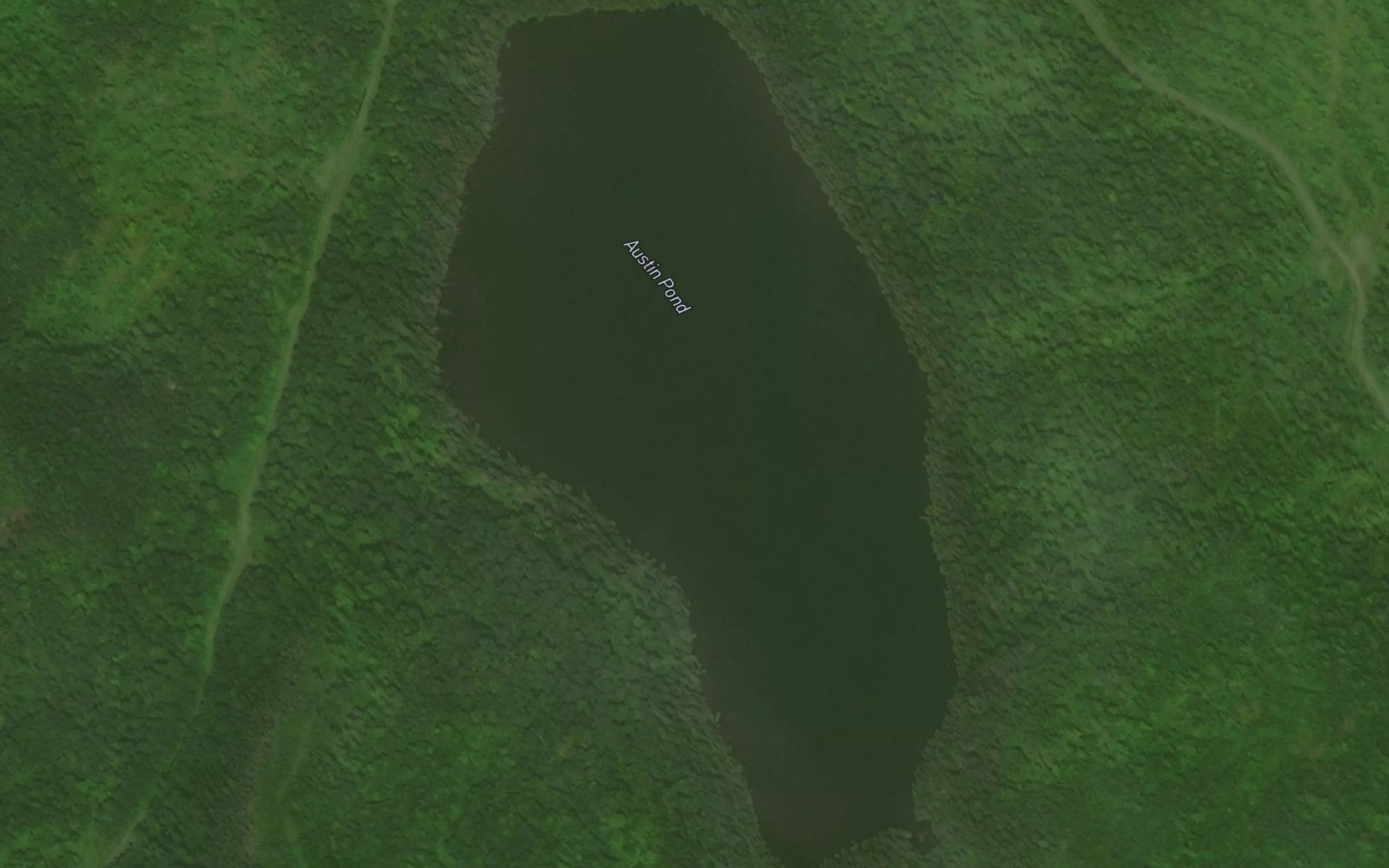 Satellite map of the Austin Pond