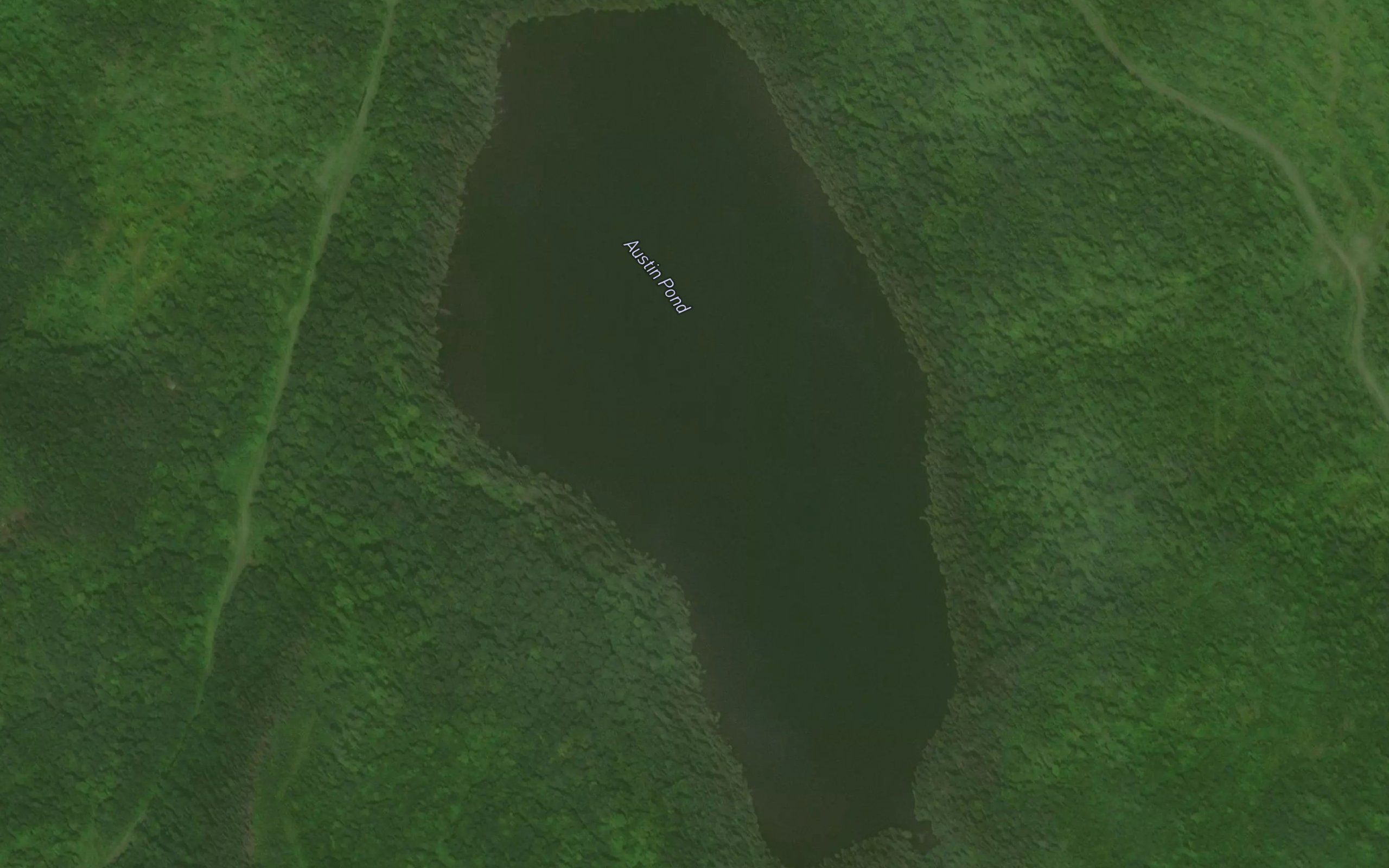 Austin Pond