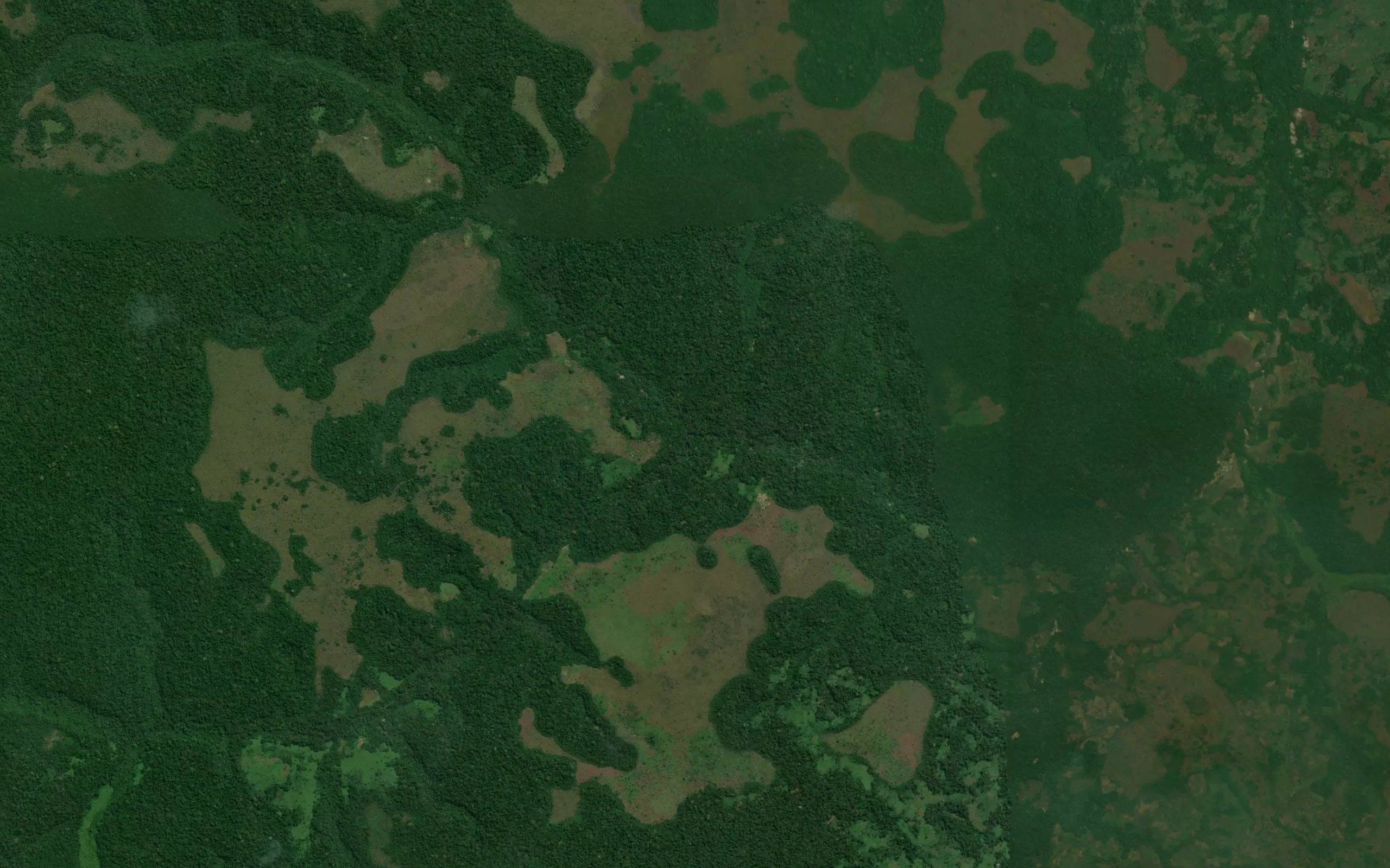 Kamangiala