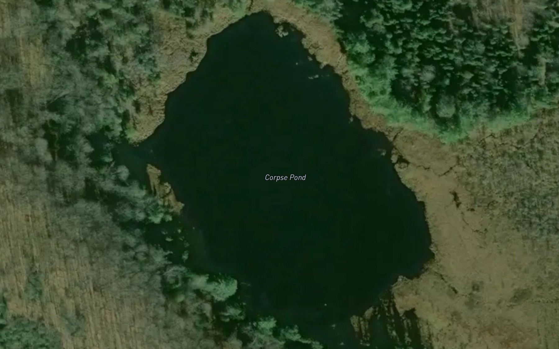 Satellite map of the Corpse Pond