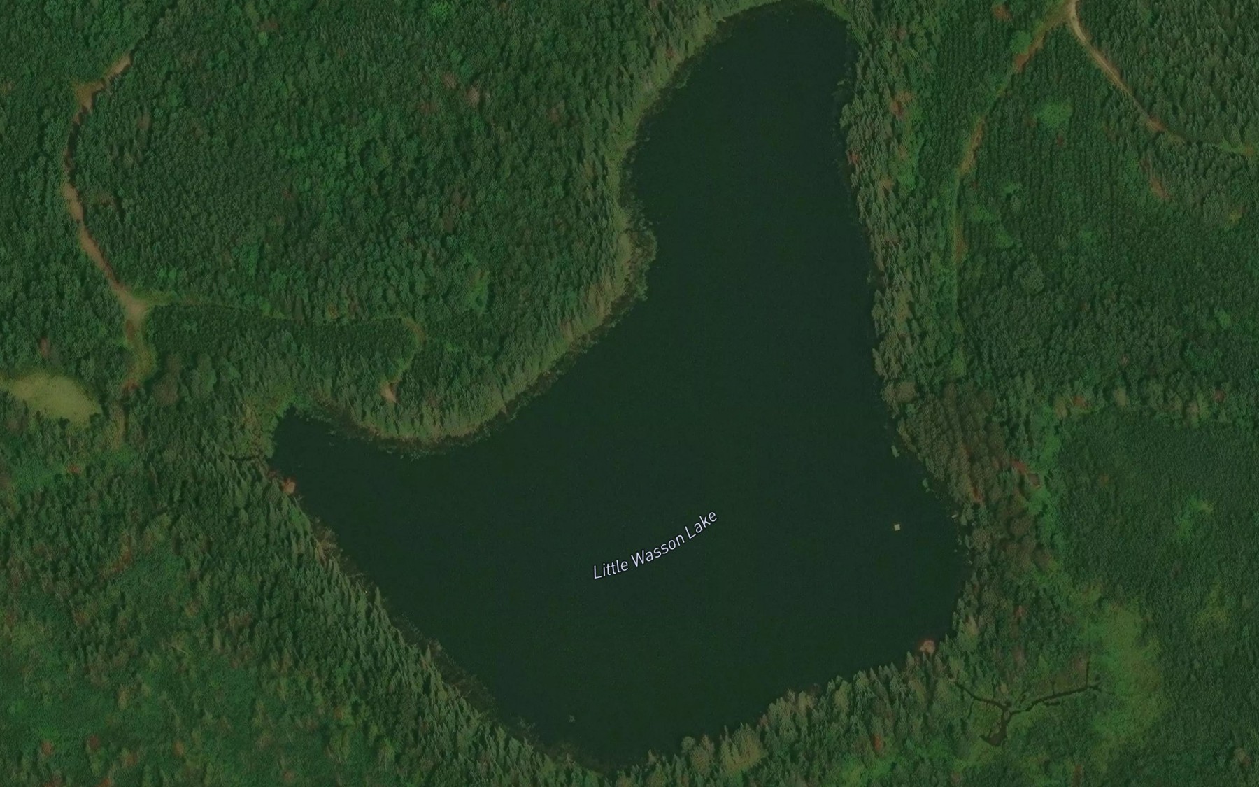 Satellite map of the Little Wasson Lake