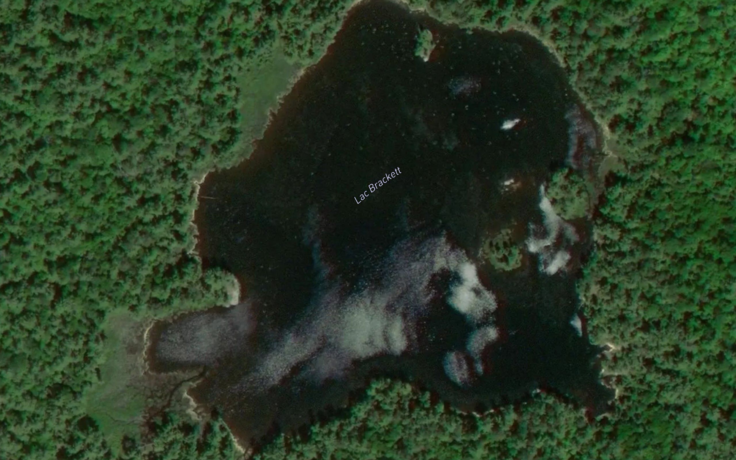 Lac Brackett