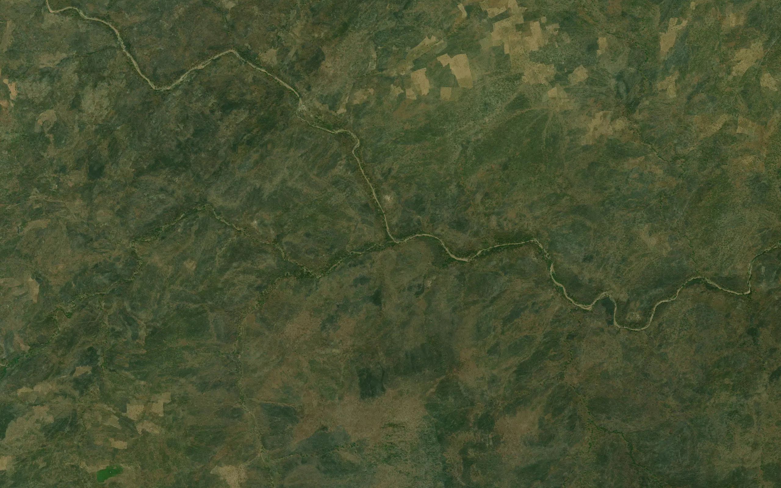 Kagle