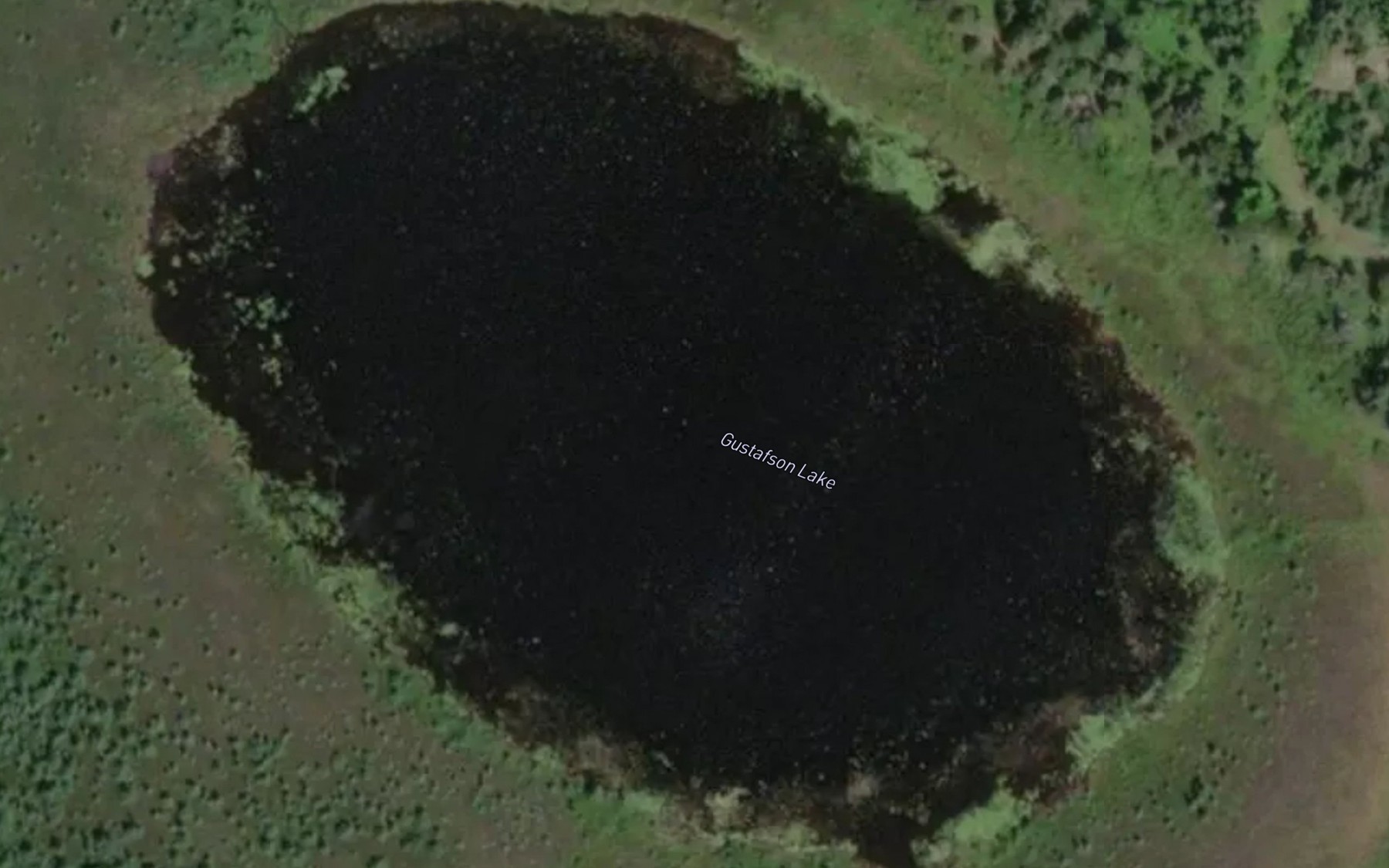 Satellite map of the Gustafson Lake
