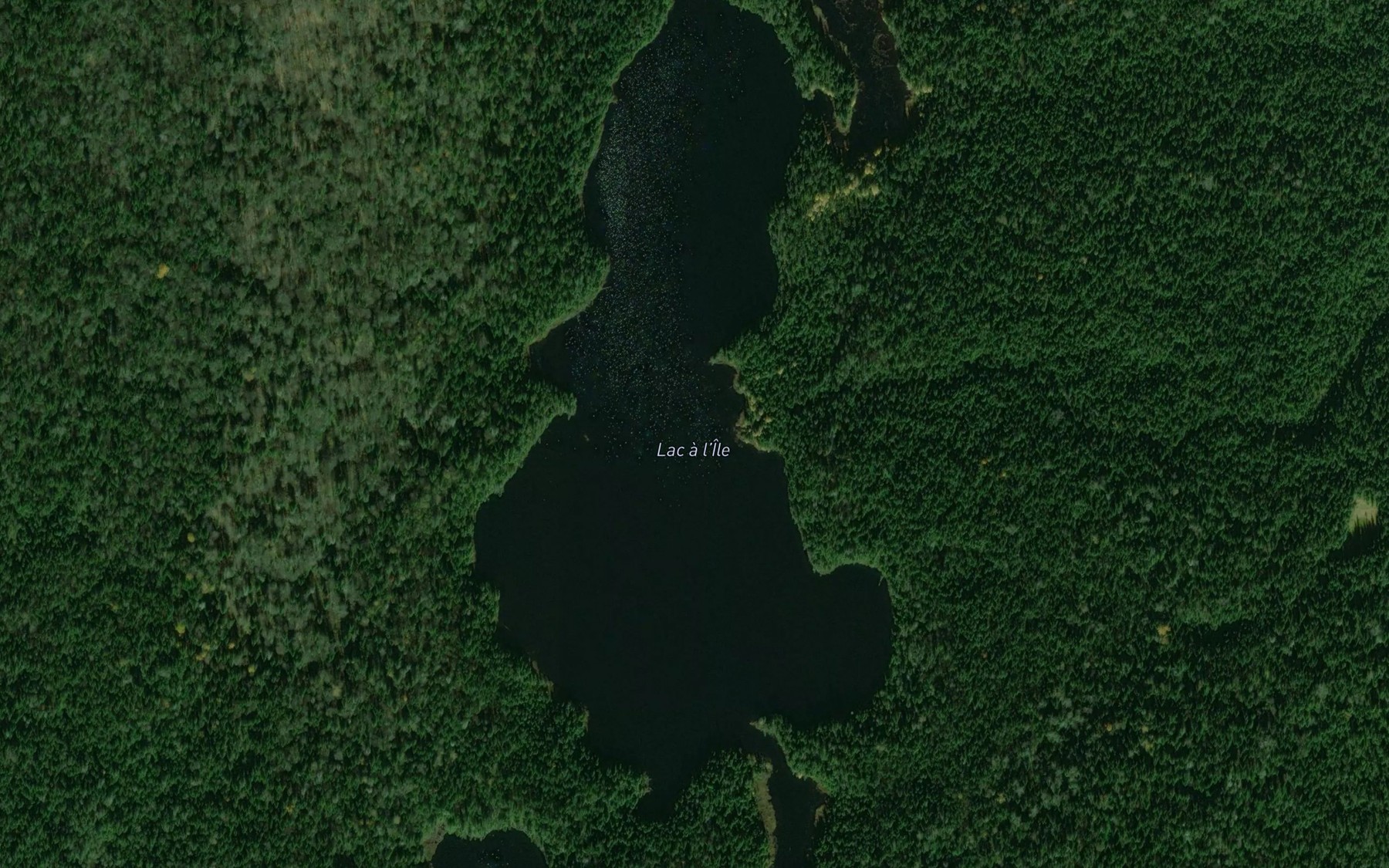 Satellite map of the Lac a l'Ile
