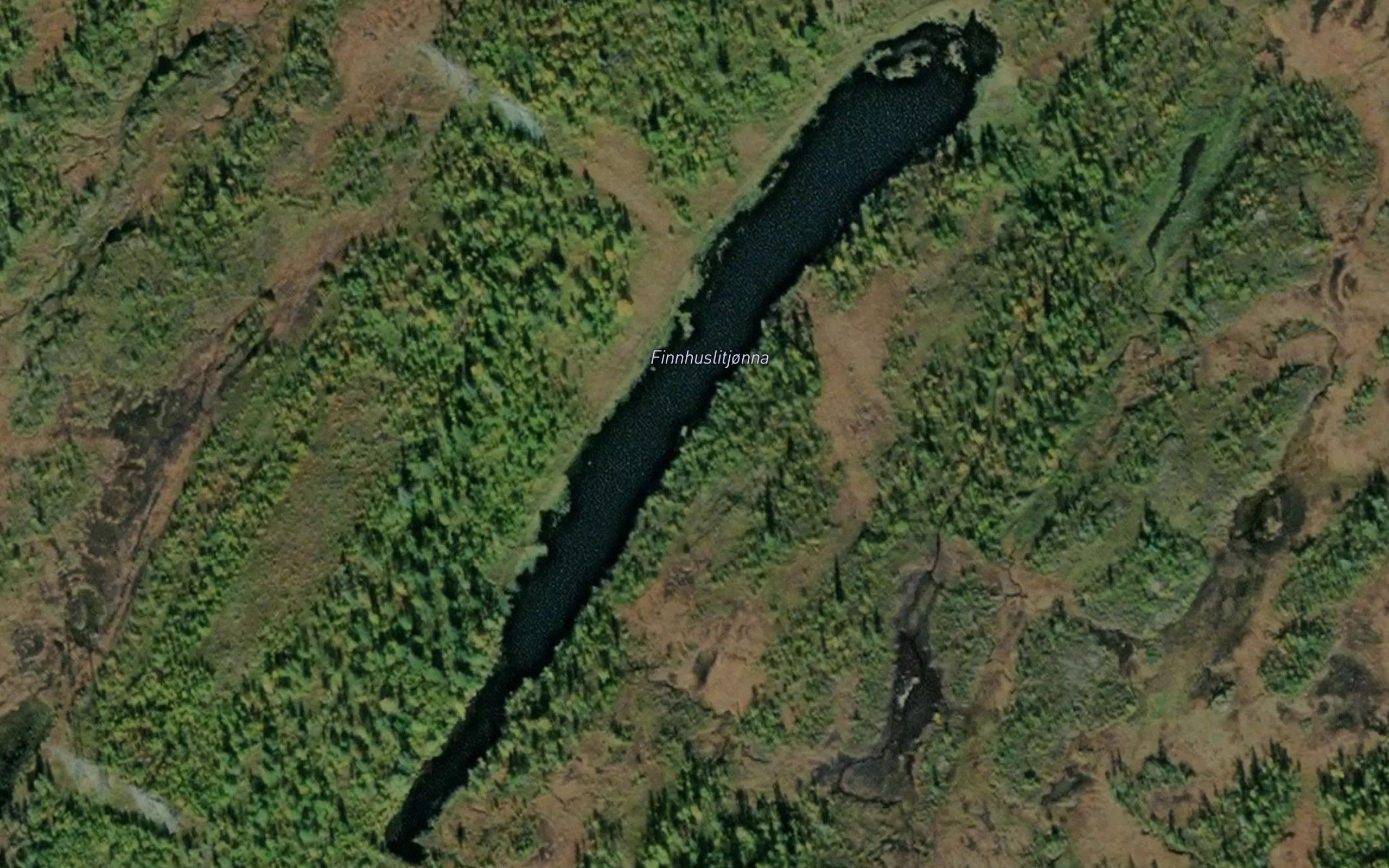 Finnhuslitjorna