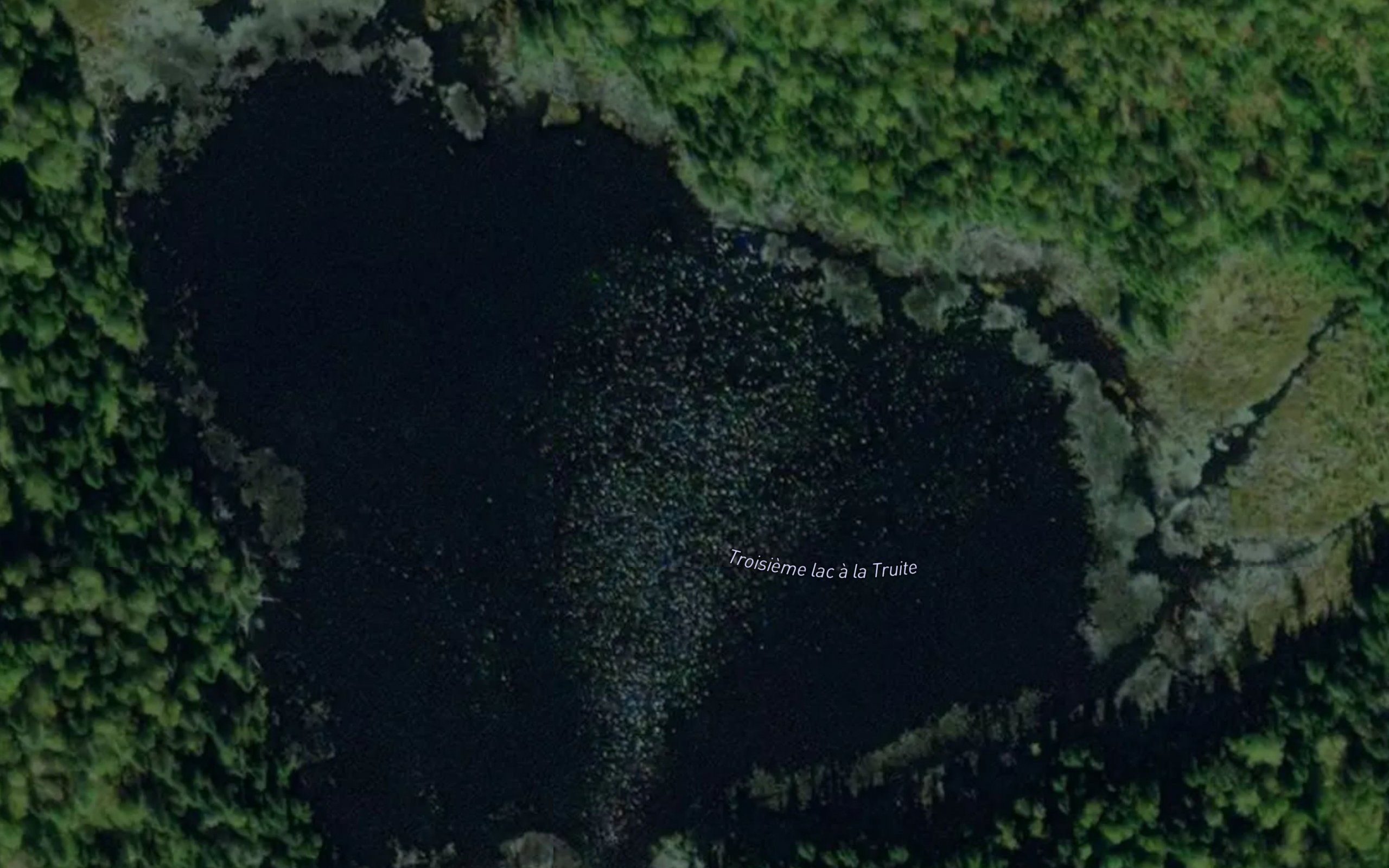 Troisieme lac a la Truite
