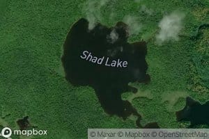 Shad Lake