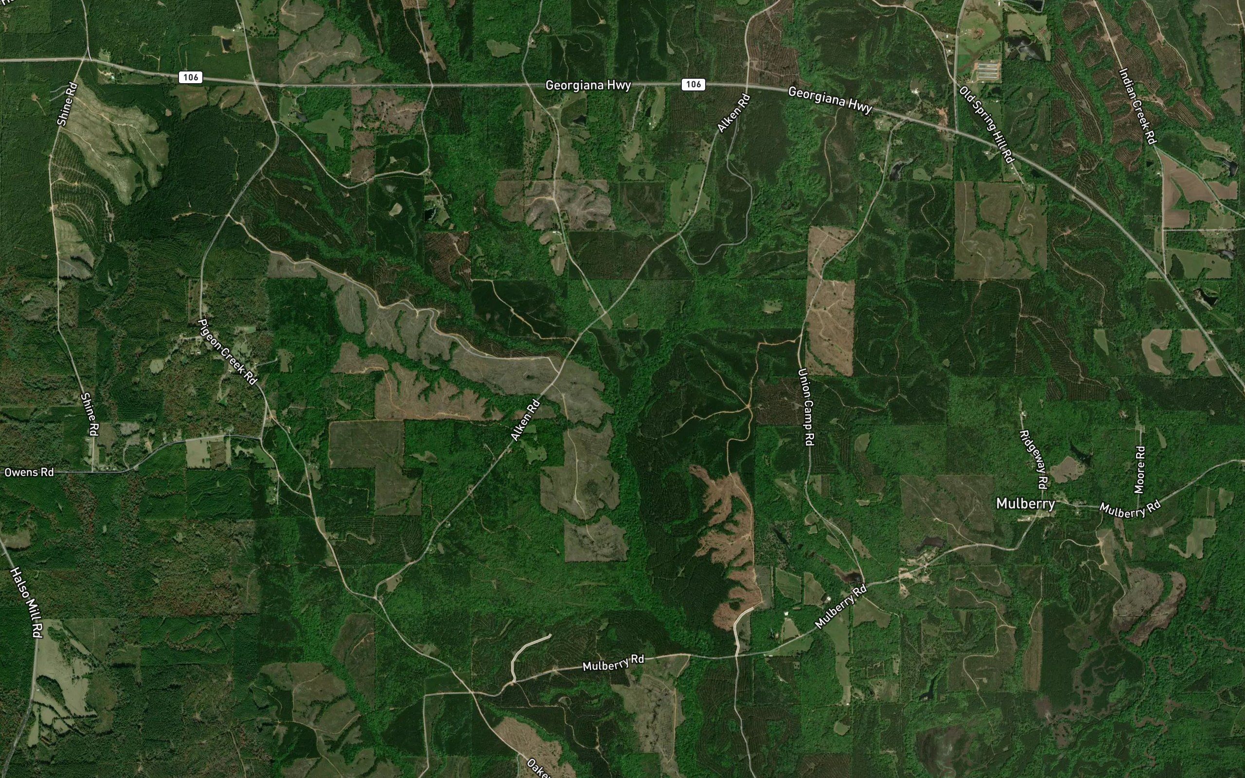 Little Piney Woods Creek
