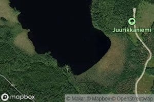 Juurikkalahti