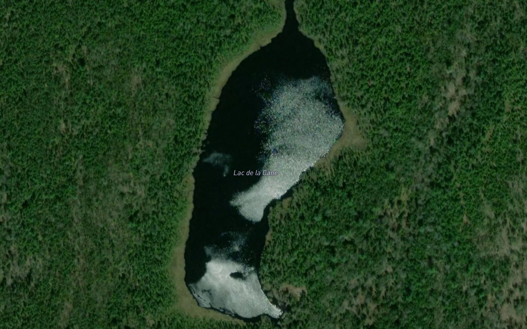 Satellite map of the Lac de la Cane
