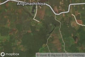 Pahala Angunachchiya Wewa