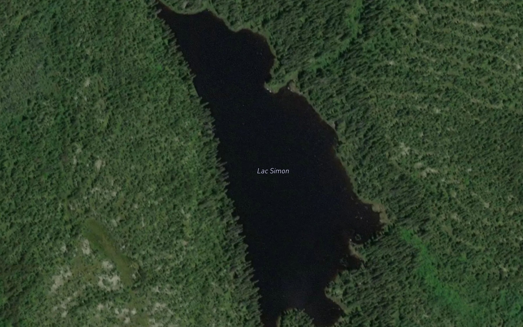 Satellite map of the Lac Simon