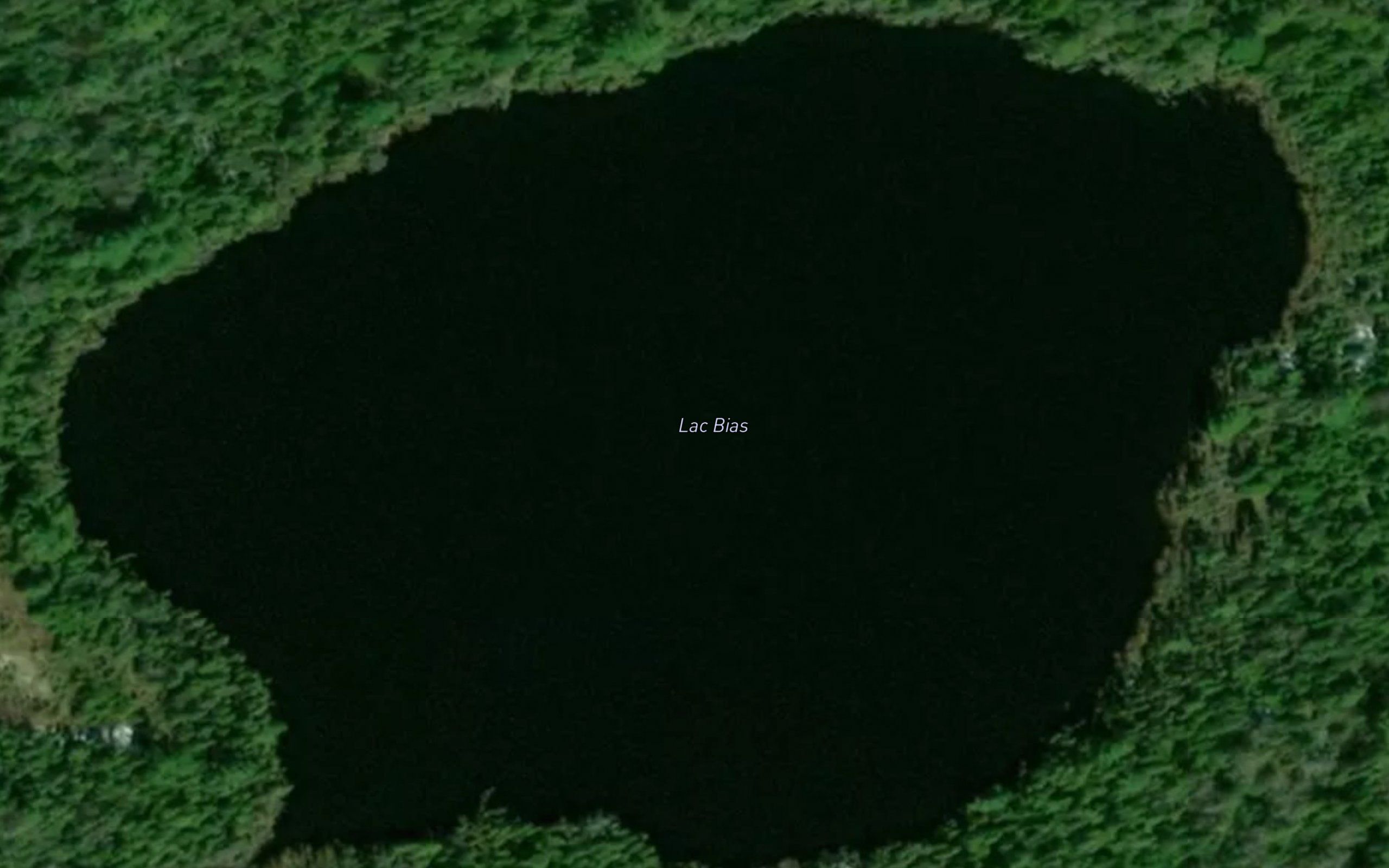 Lac Bias