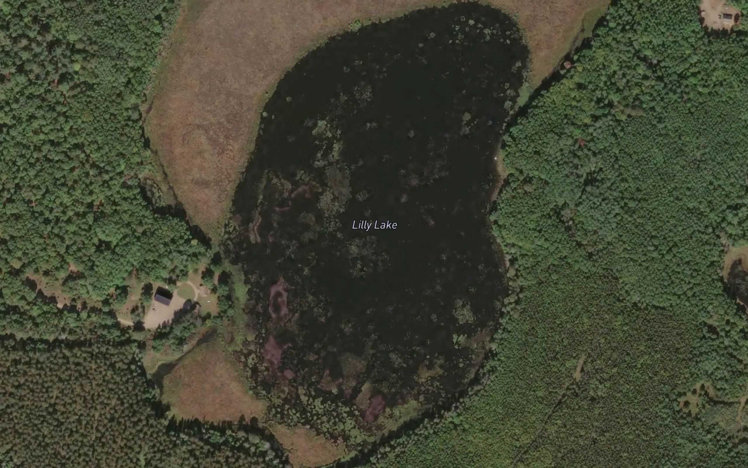 Lily Lake