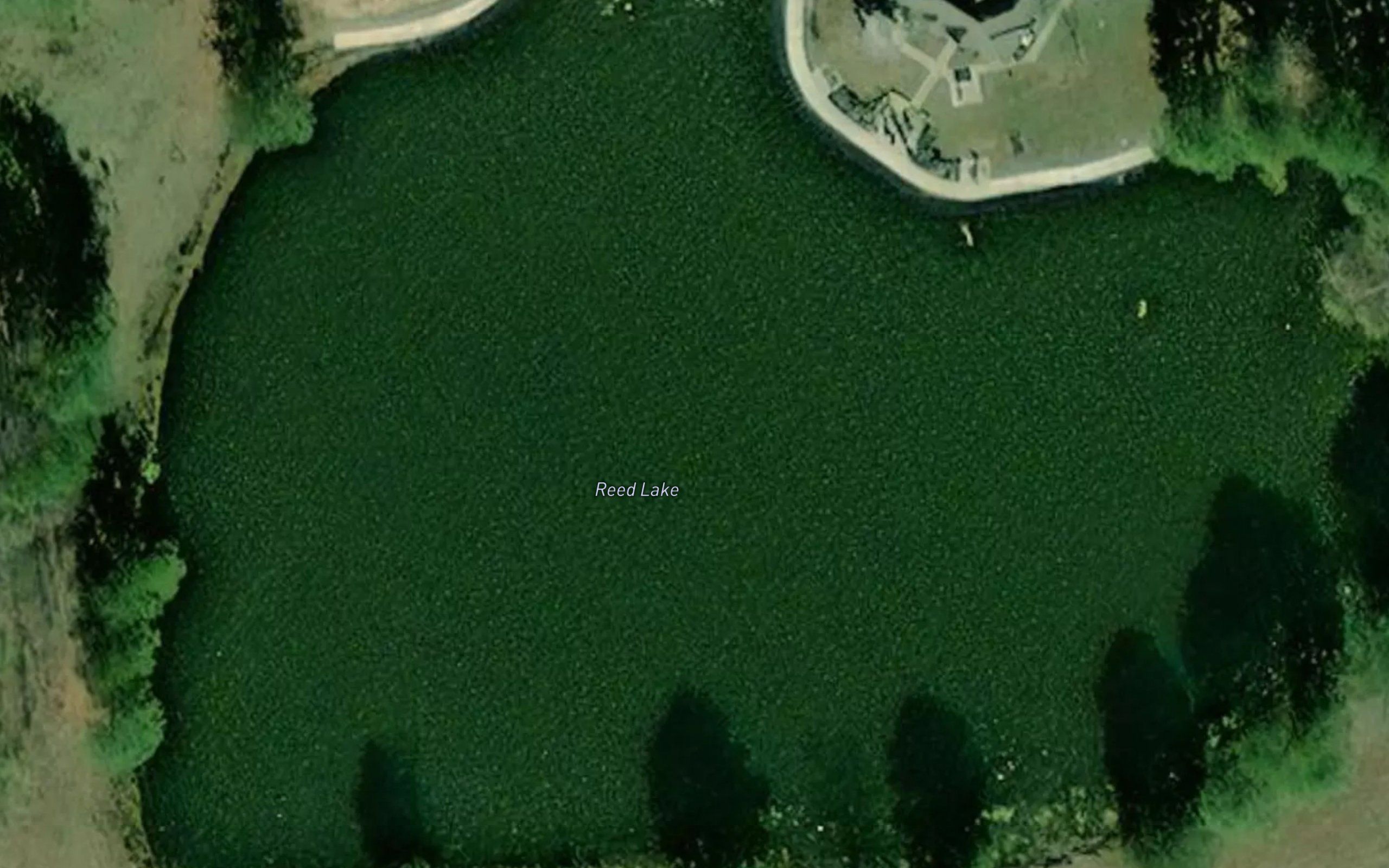 Reed Lake
