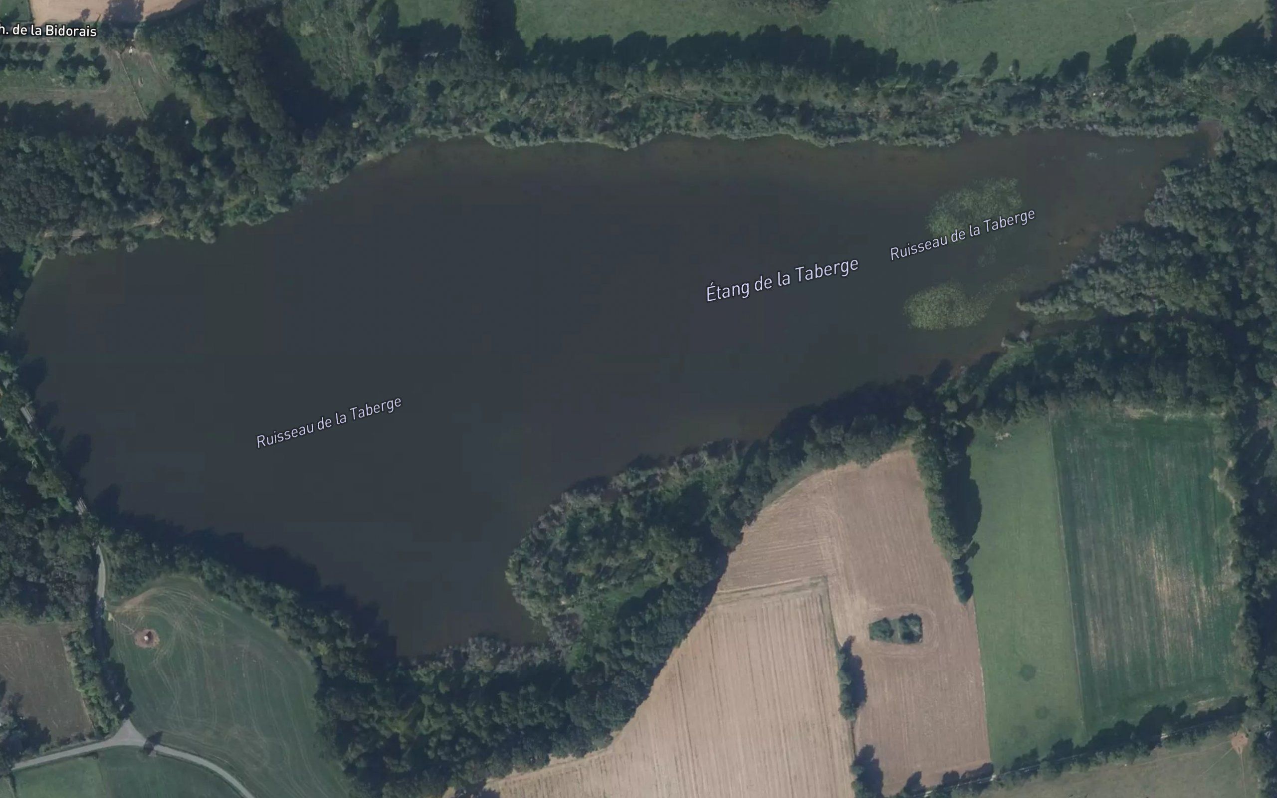 Etang de la Taberge