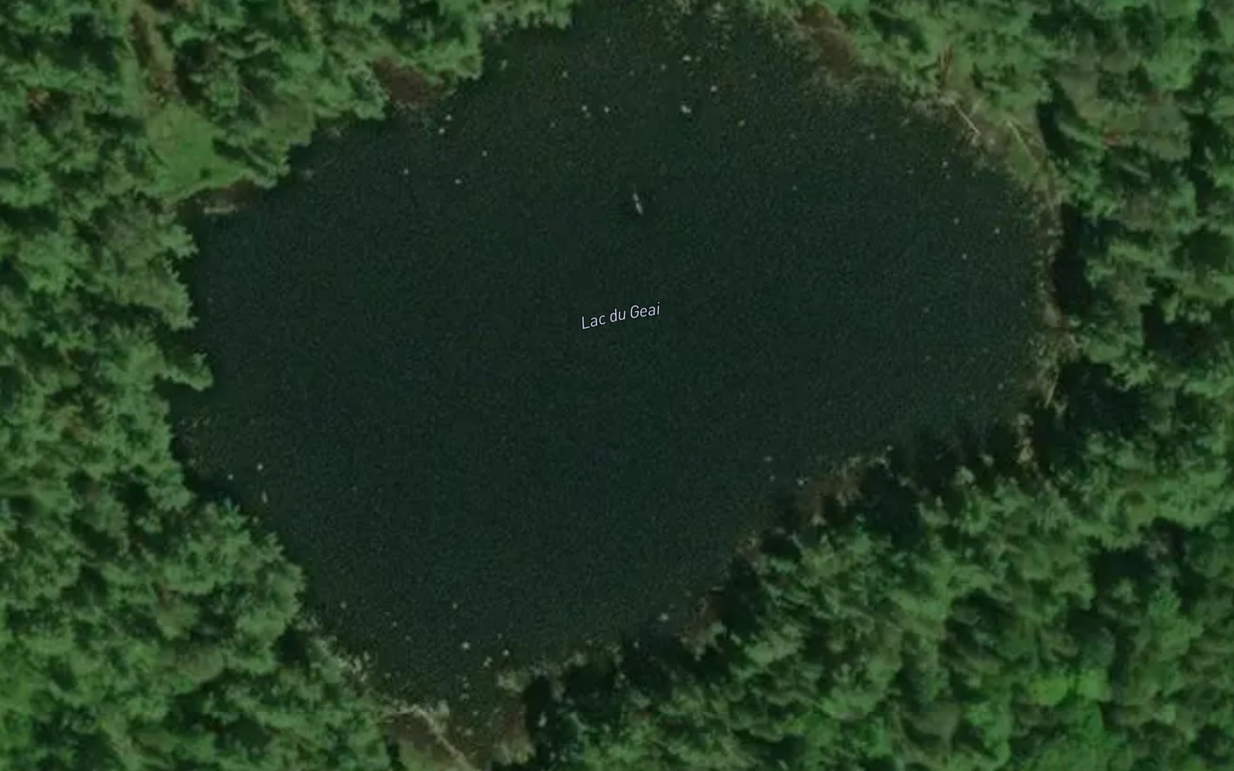 Satellite map of the Lac du Geai