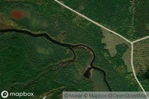 Billings Brook