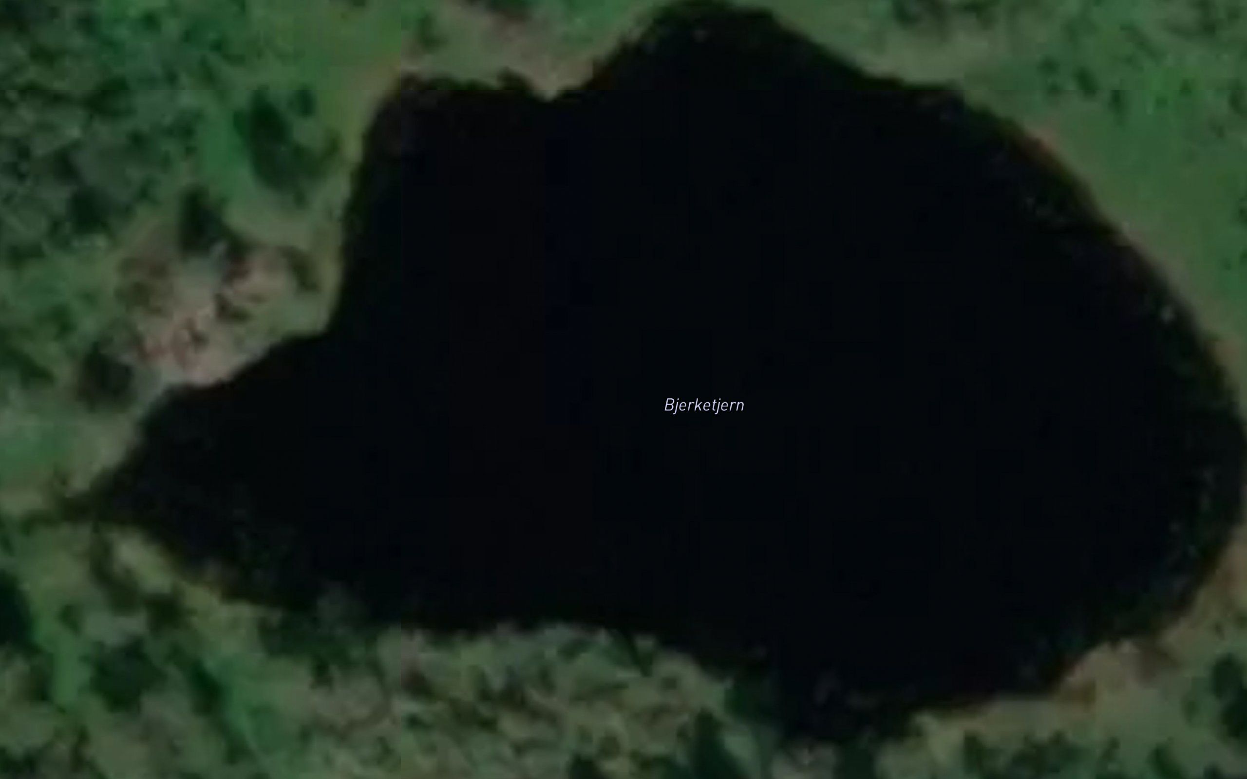 Bjorketjern