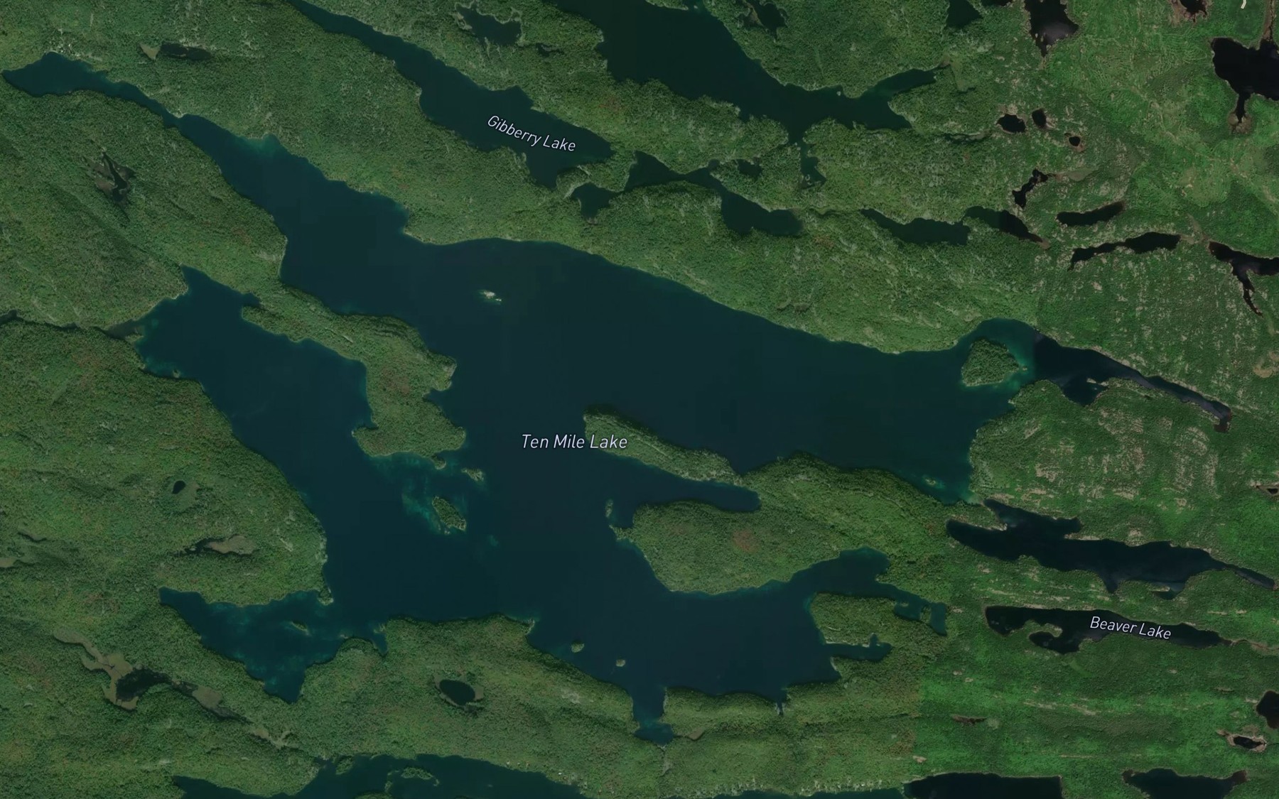 Satellite map of the Ten Mile Lake