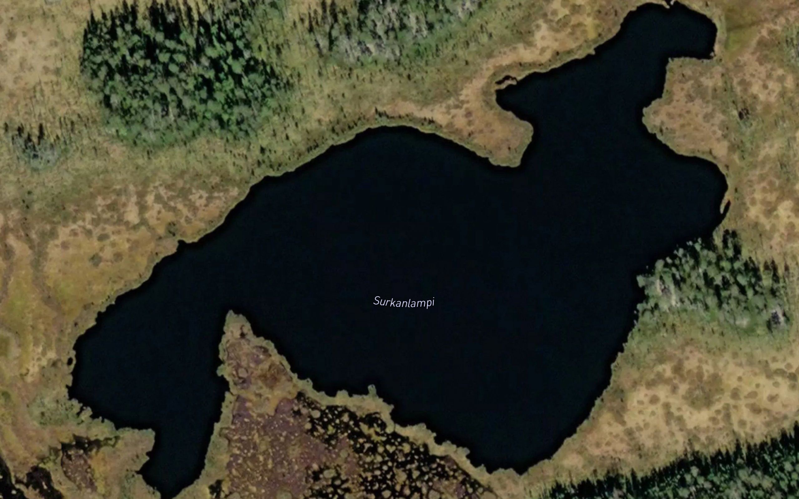 Surkanlampi