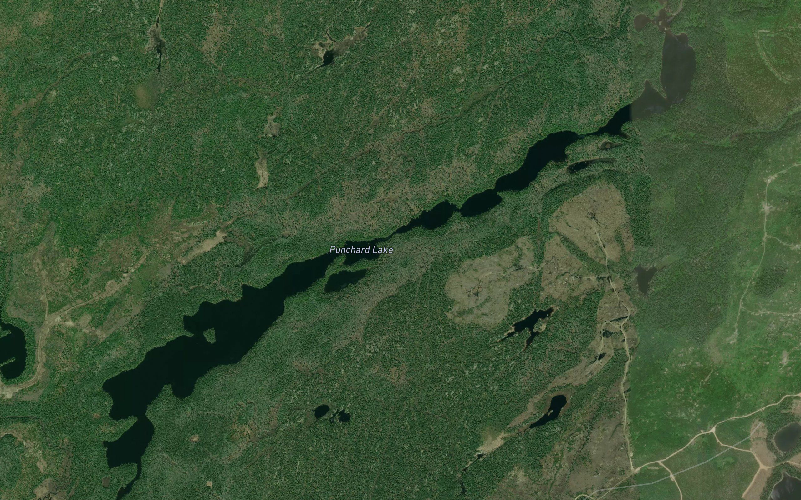 Punchard Lake