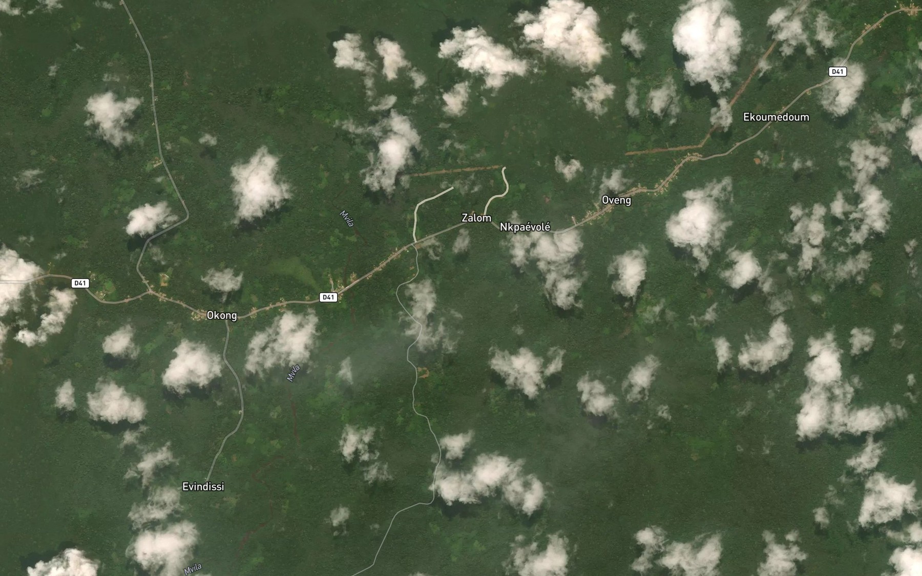 Satellite map of the Binga