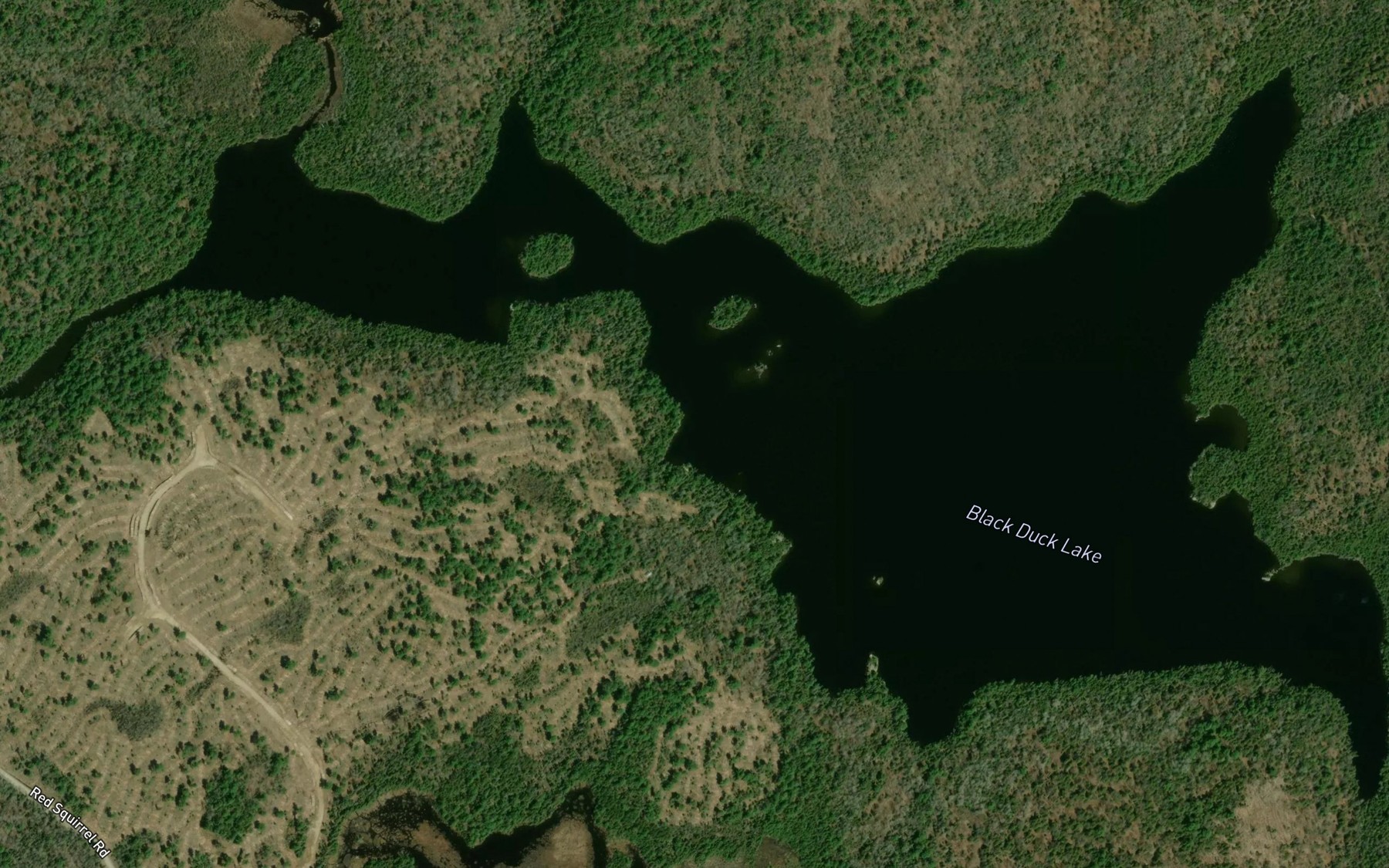 Satellite map of the Black Duck Lake