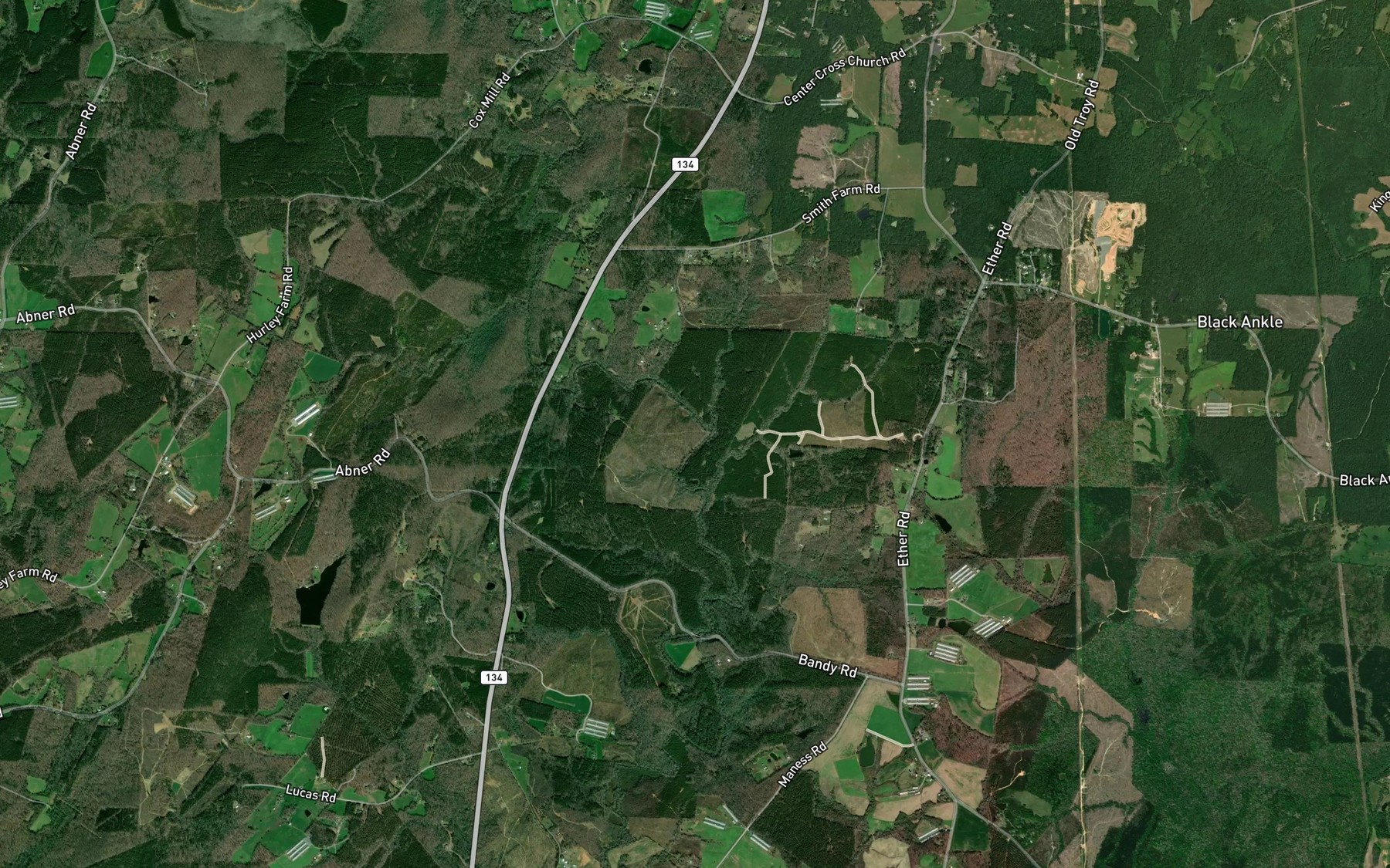 Satellite map of the Betsy Branch