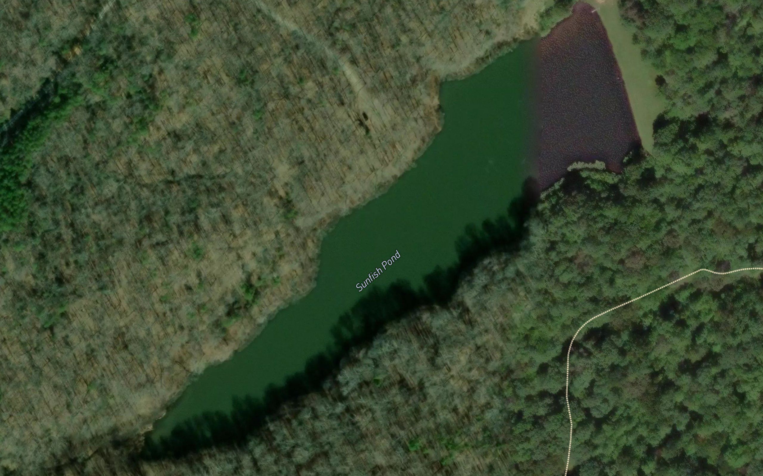 Sunfish Pond