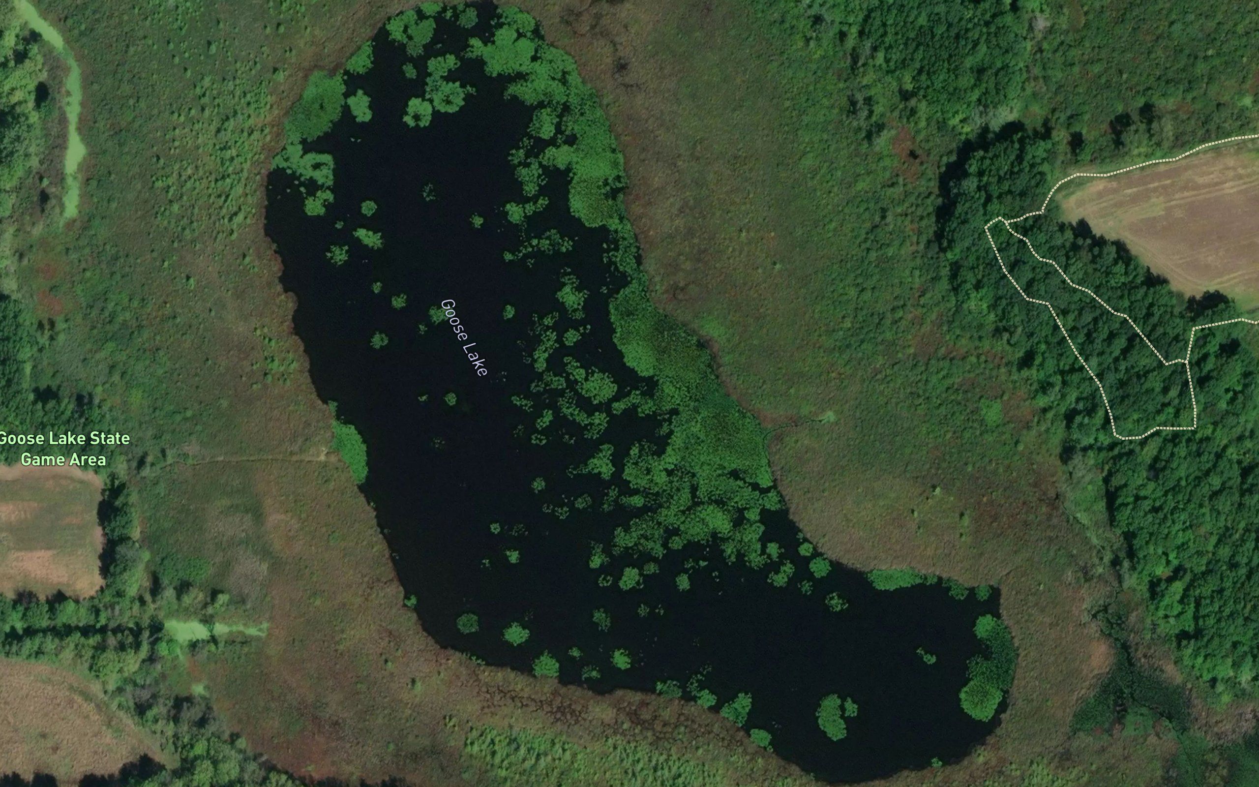 Goose Lake