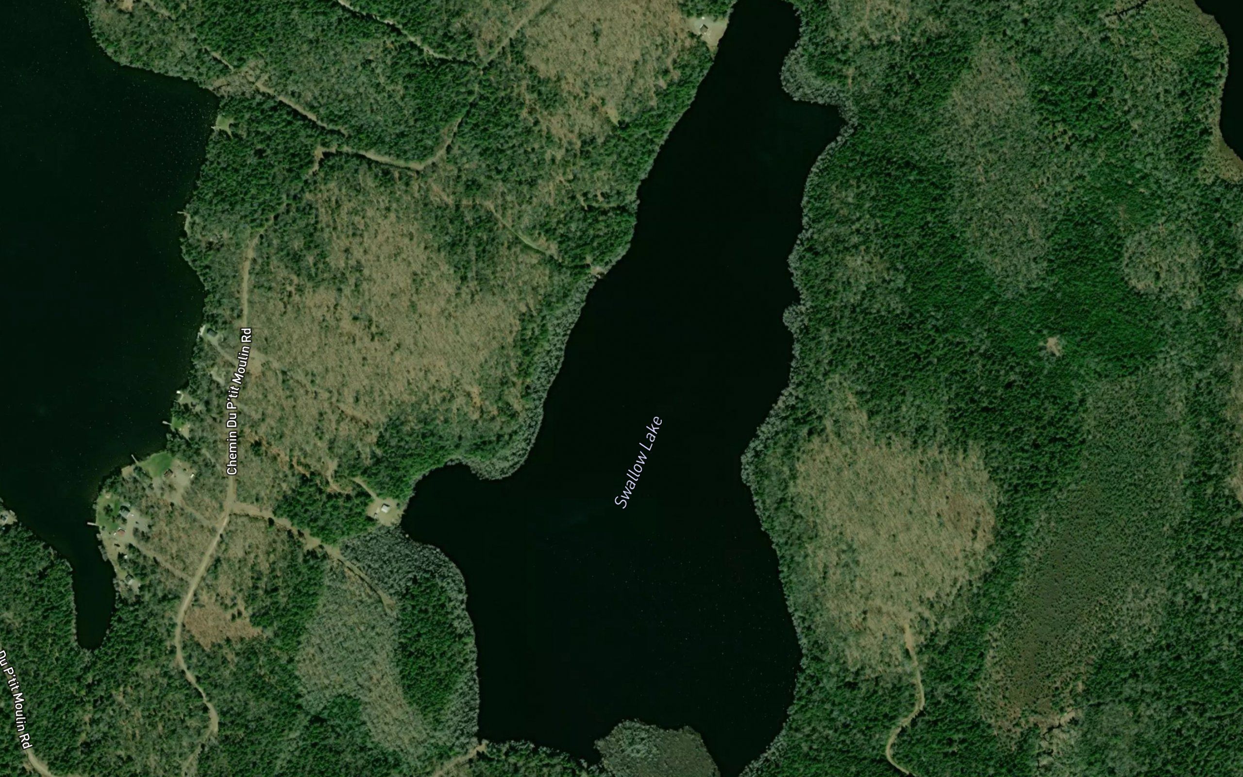Swallow Lake