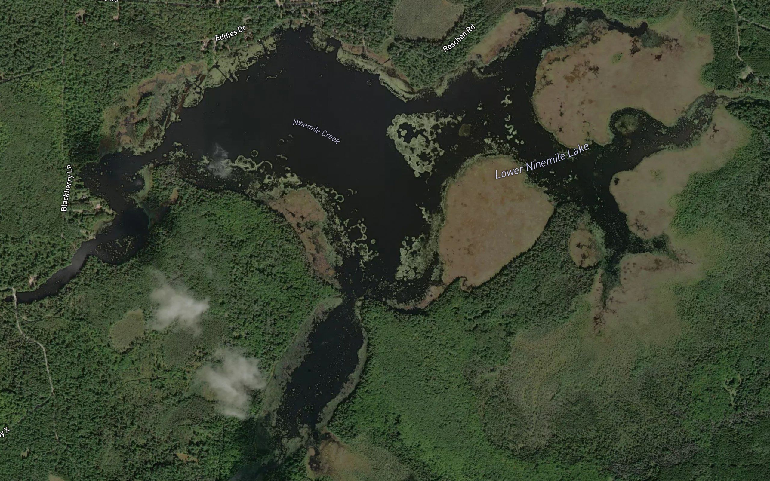 Lower Ninemile Lake