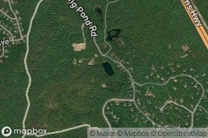 Black Pond (historical)