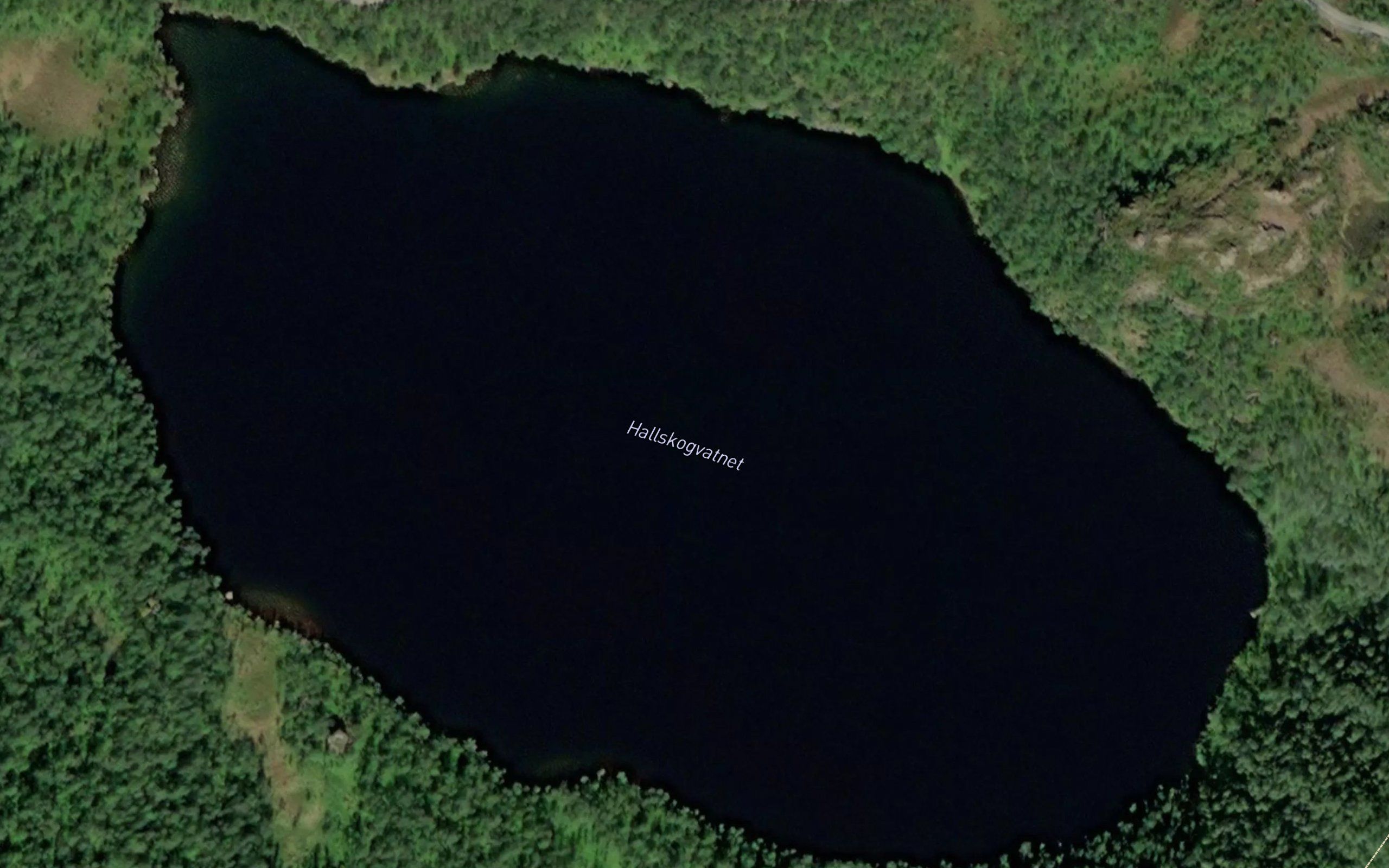 Hallskogvatnet
