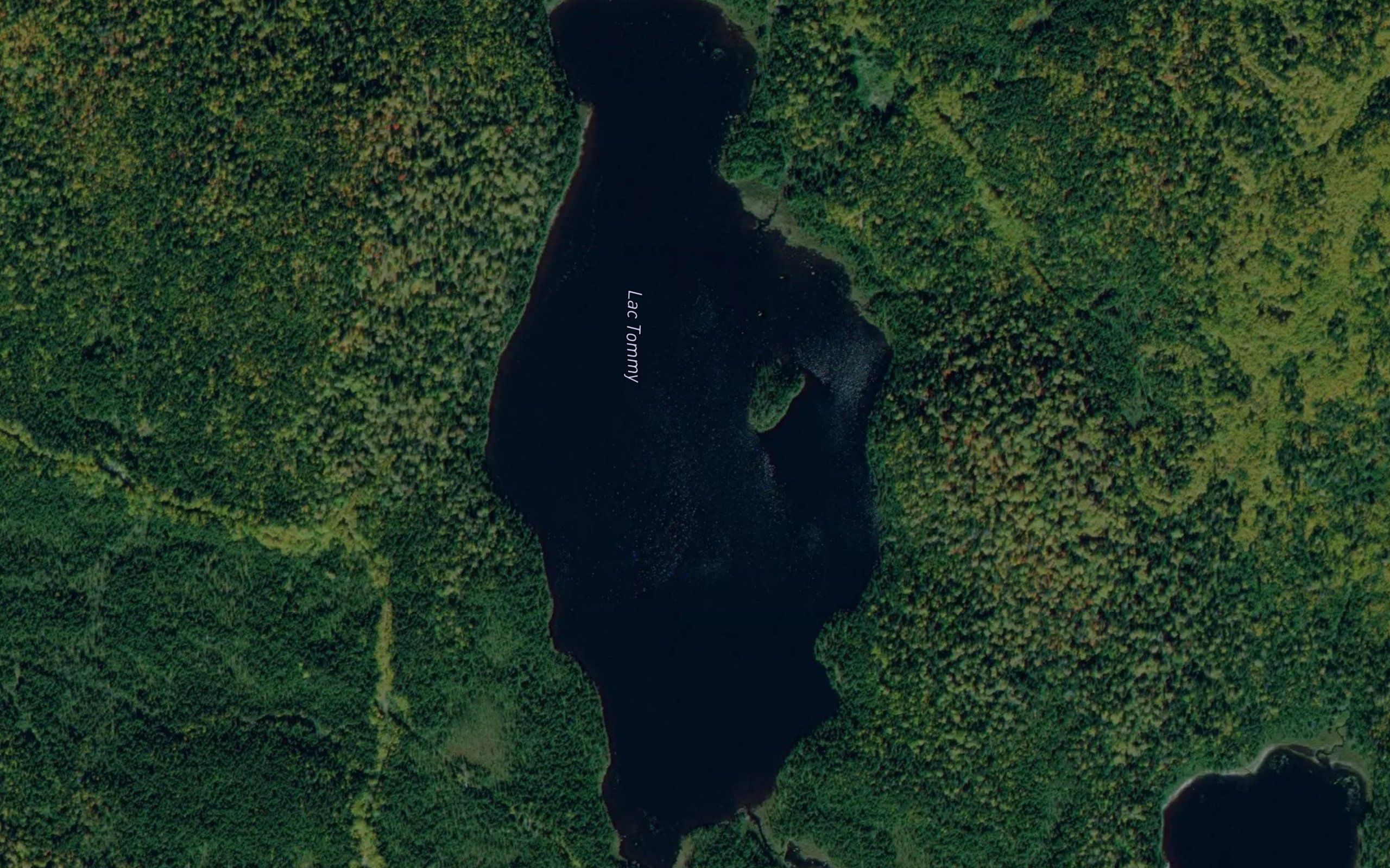 Lac Tommy