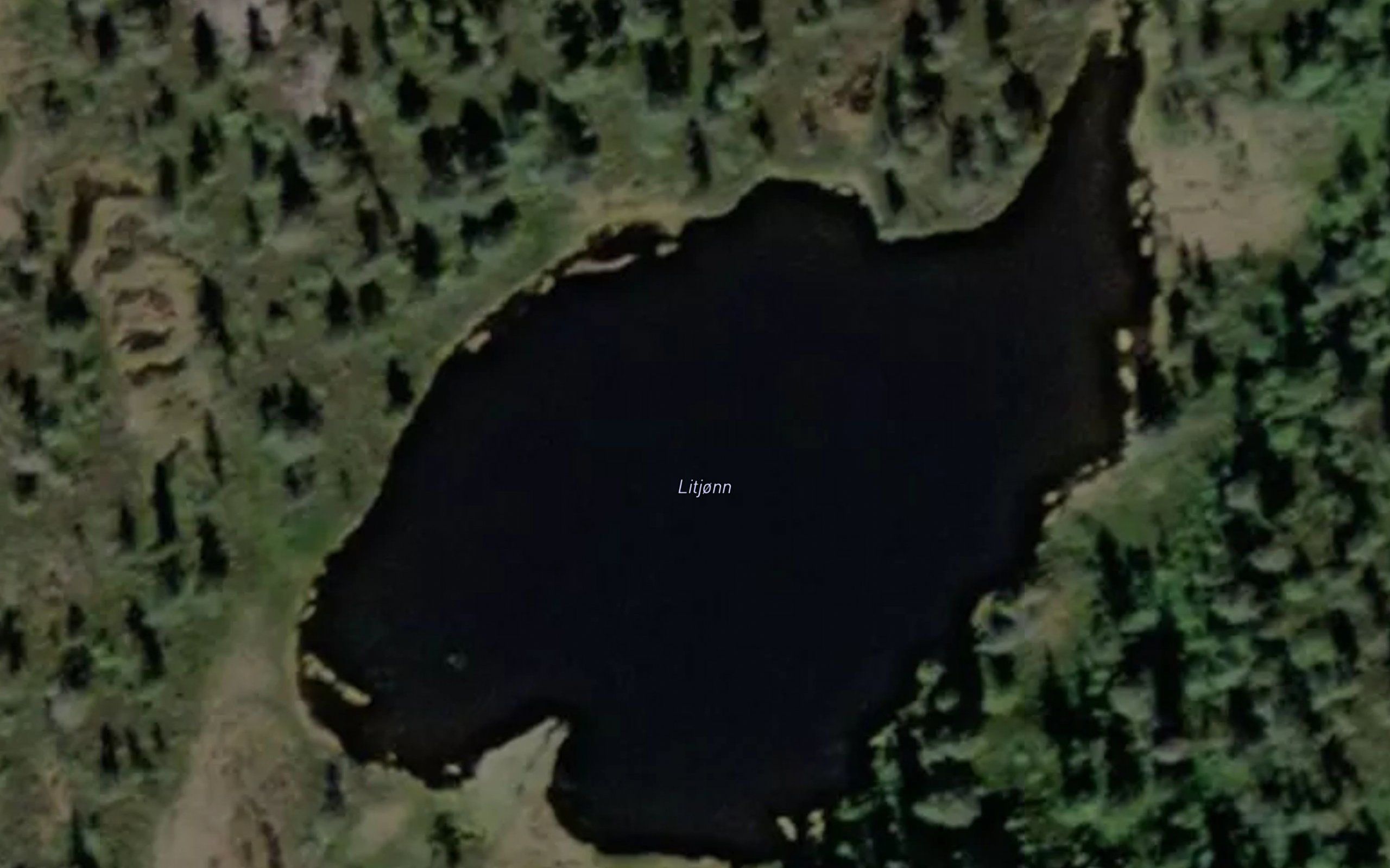 Litjorn