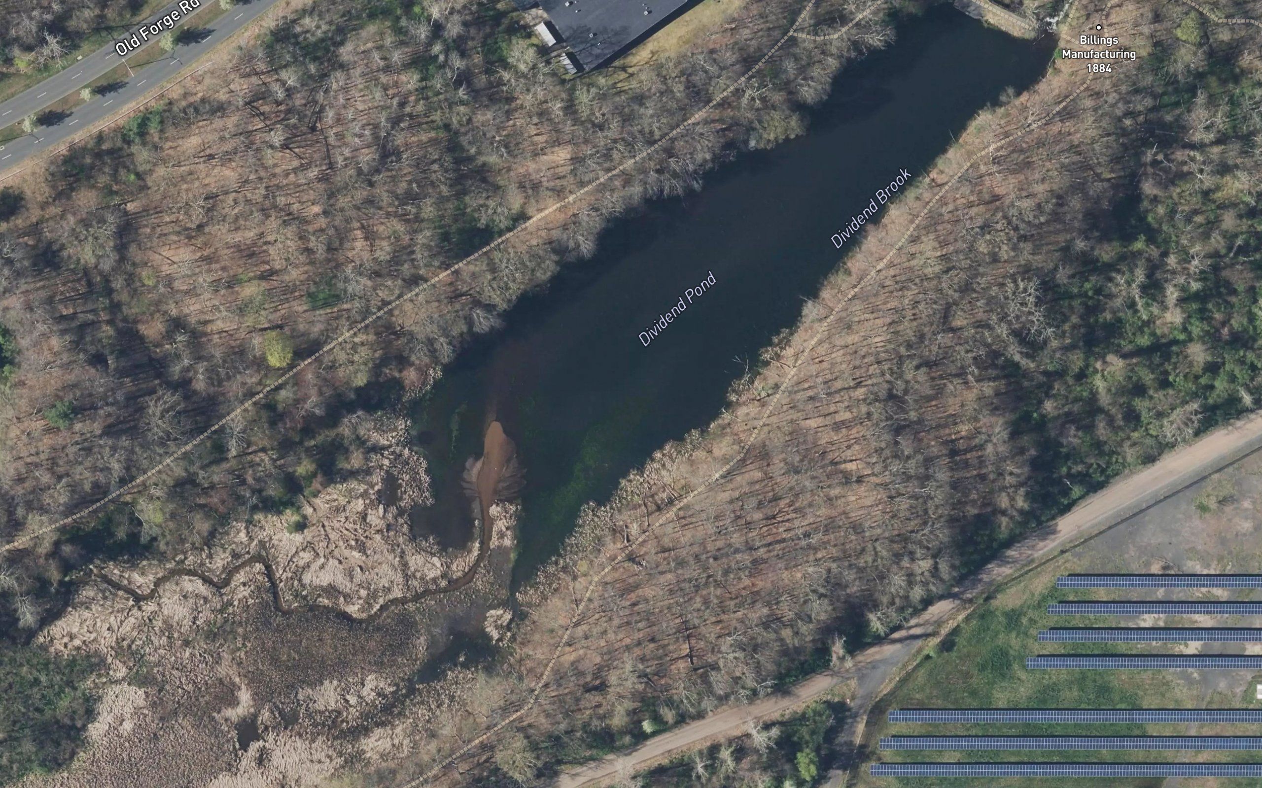 Dividend Pond