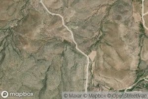 Canada Palmas Chinas