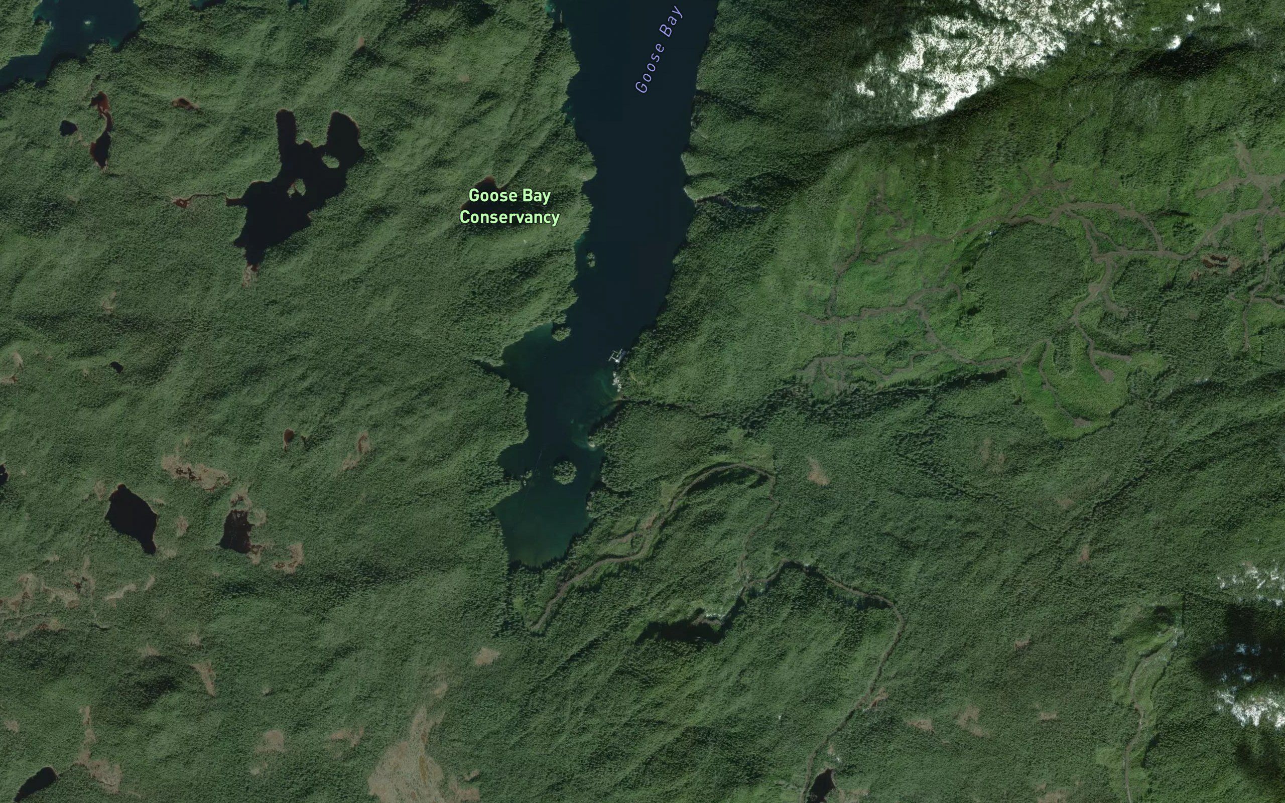 Hogan Creek