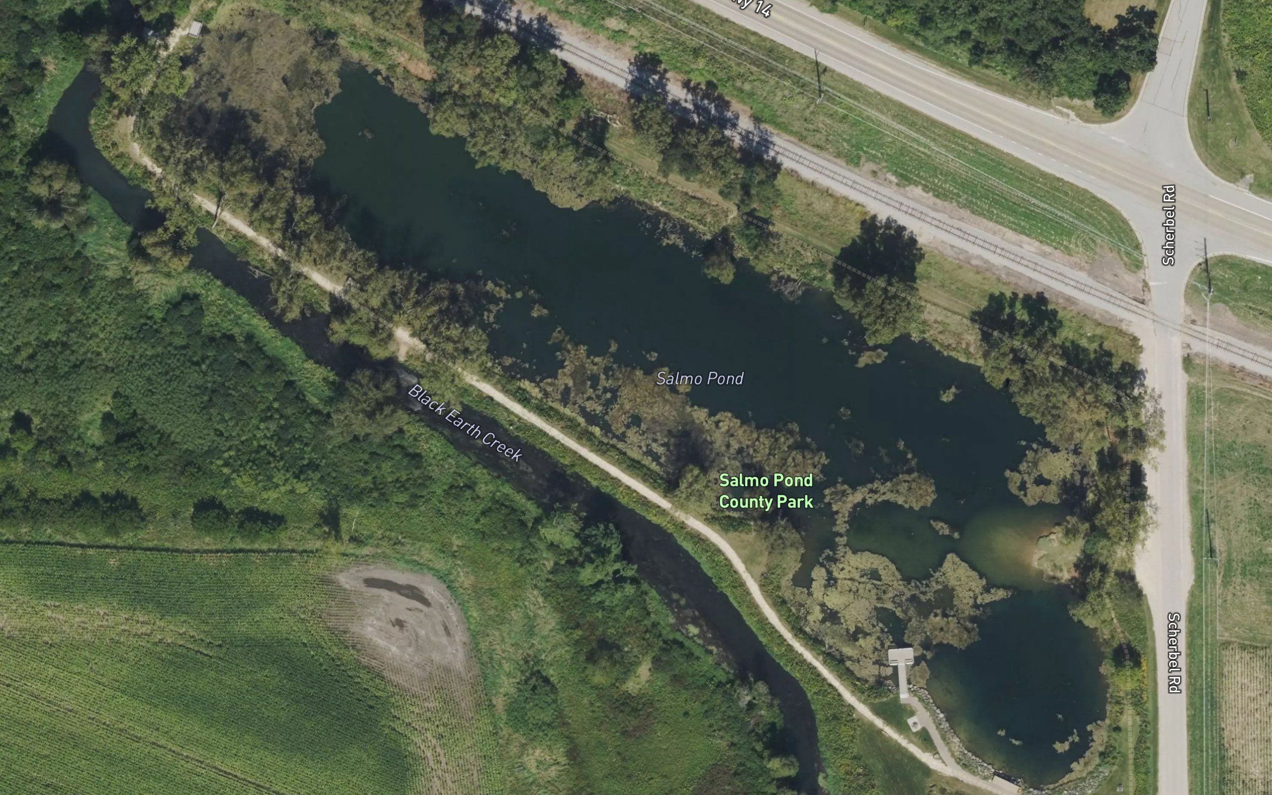 Salmo Pond