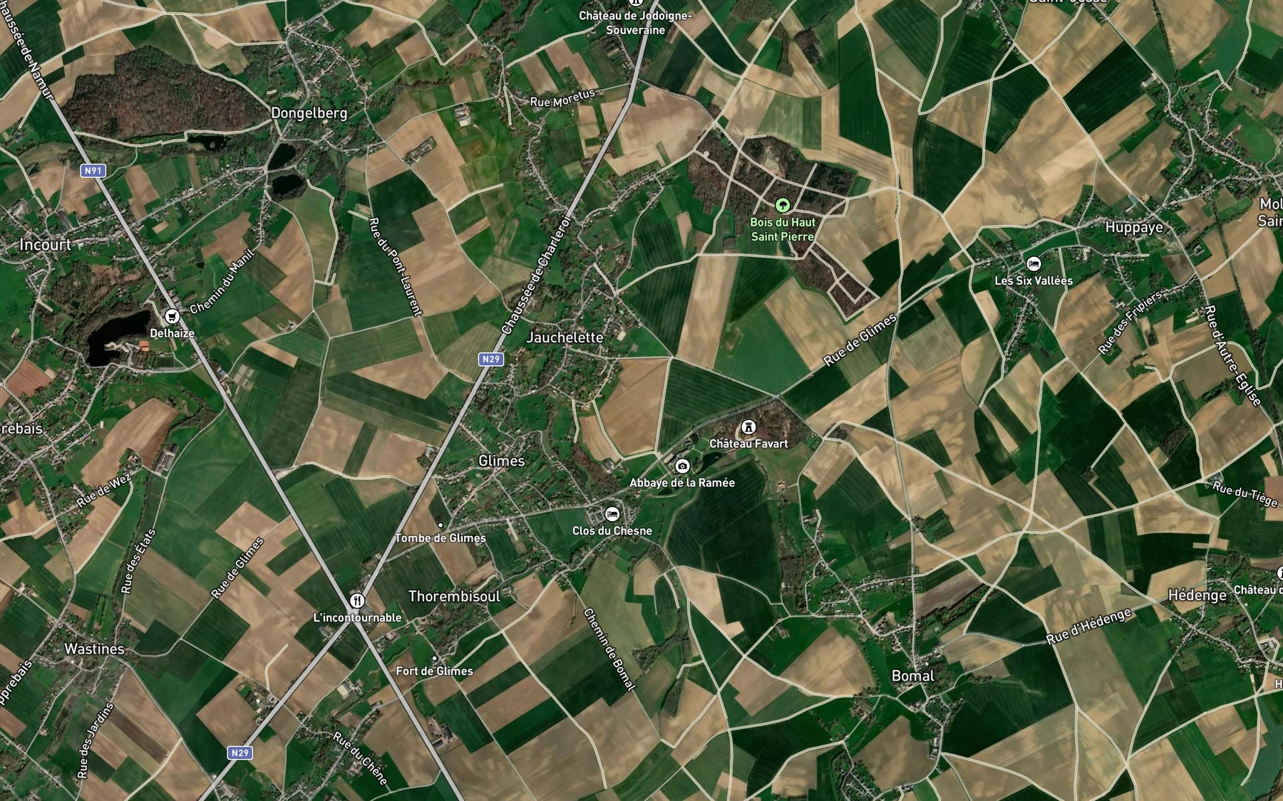 Satellite map of the Sarte