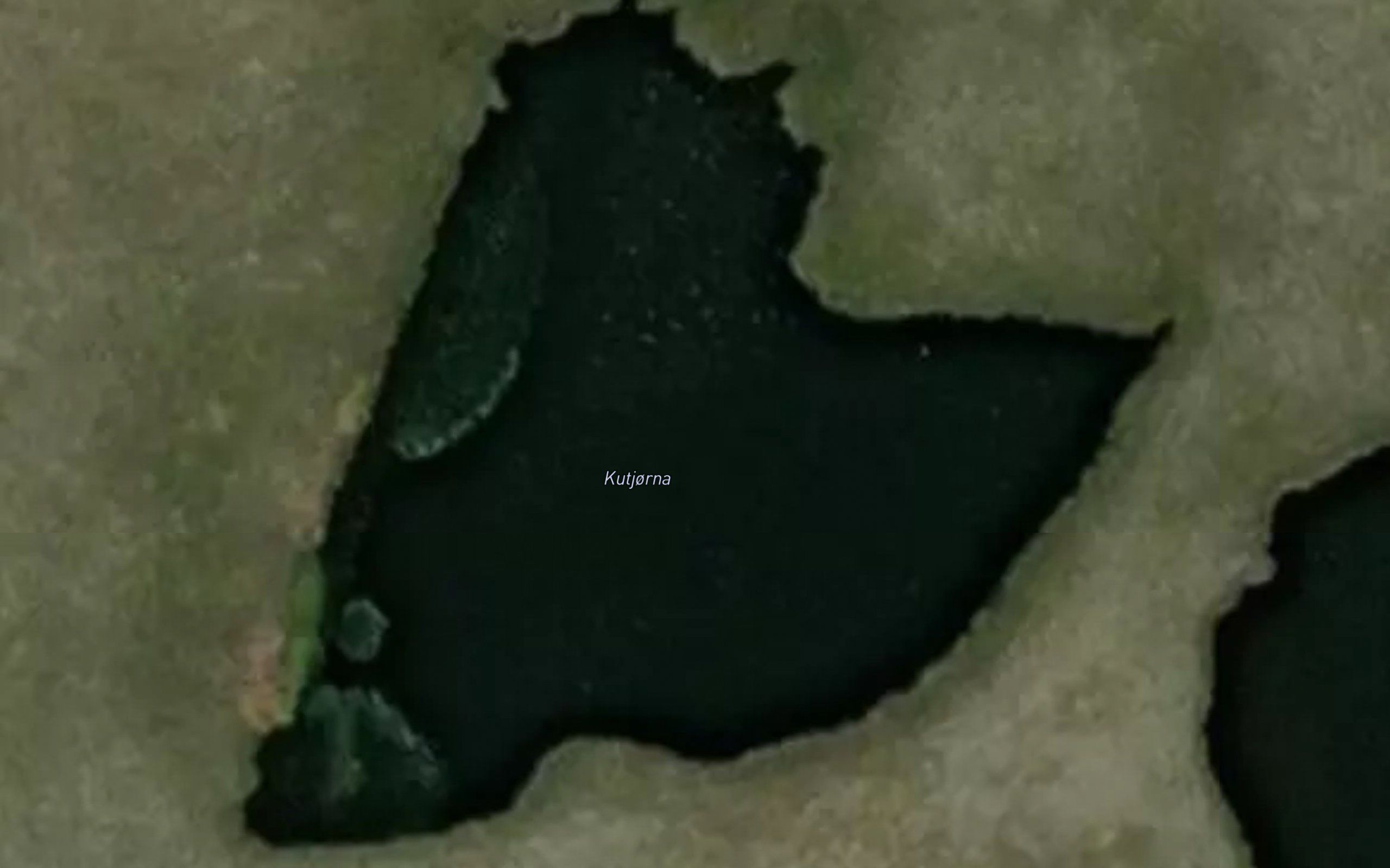 Kutjorna