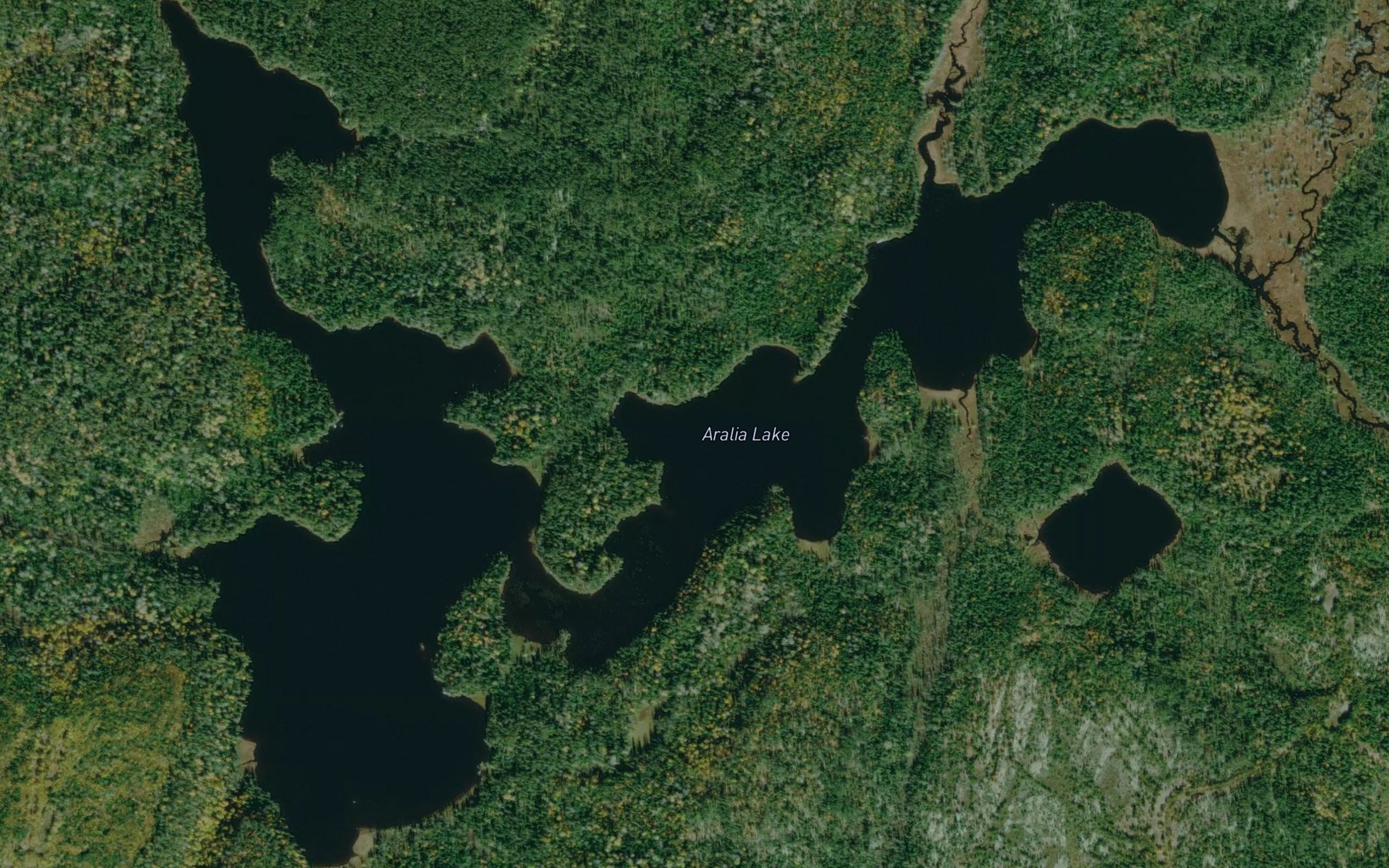 Satellite map of the Aralia Lake