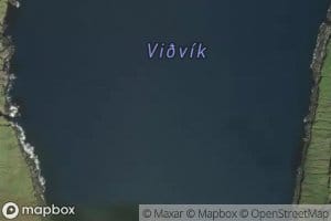 Vidhvik