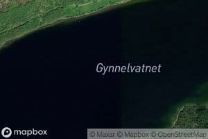 Gynnelvatnet